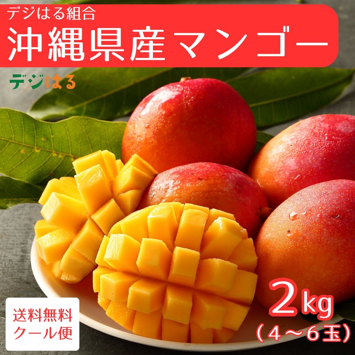 特集商品画像