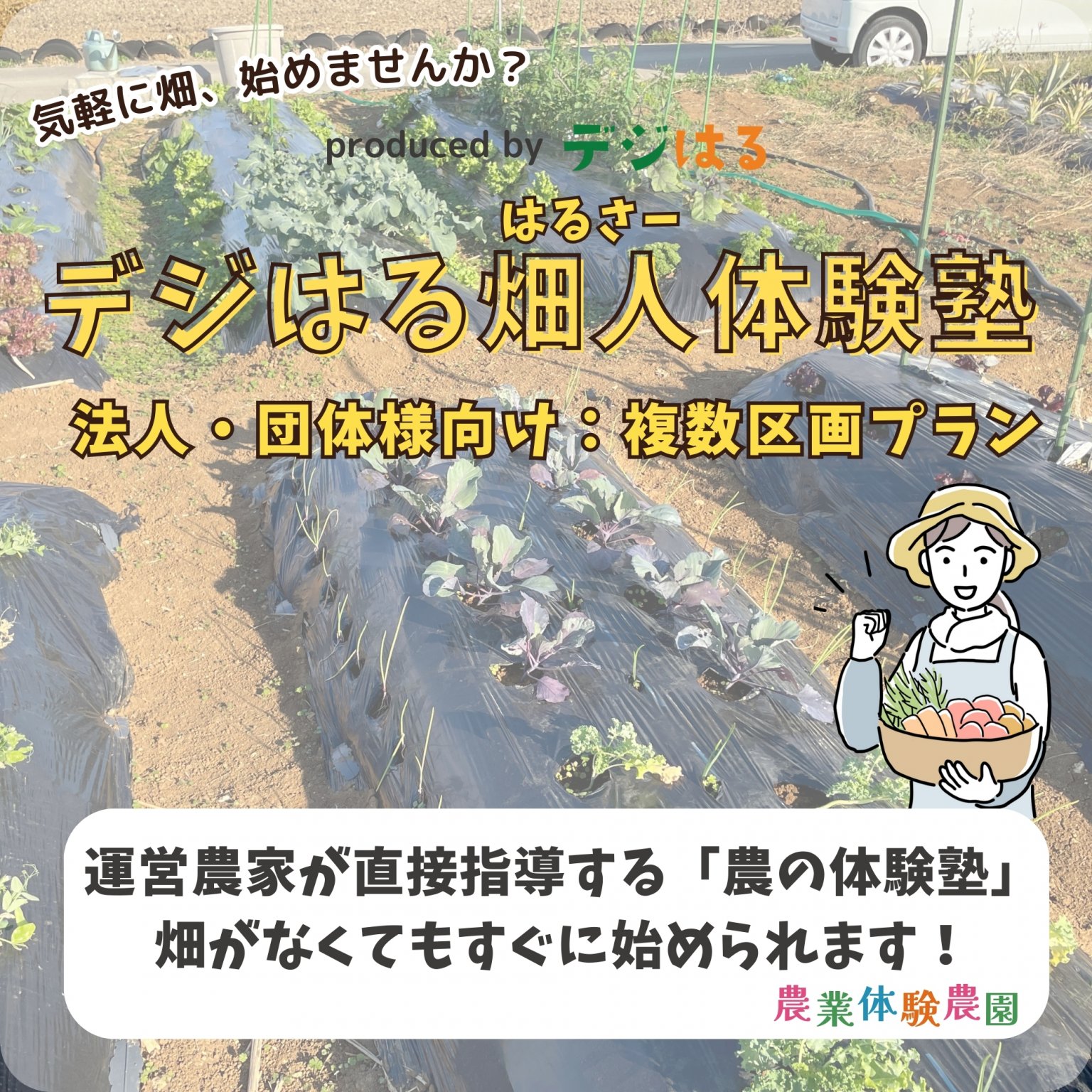 【法人様】複数区画プラン5区画｜デジはる畑人体験塾