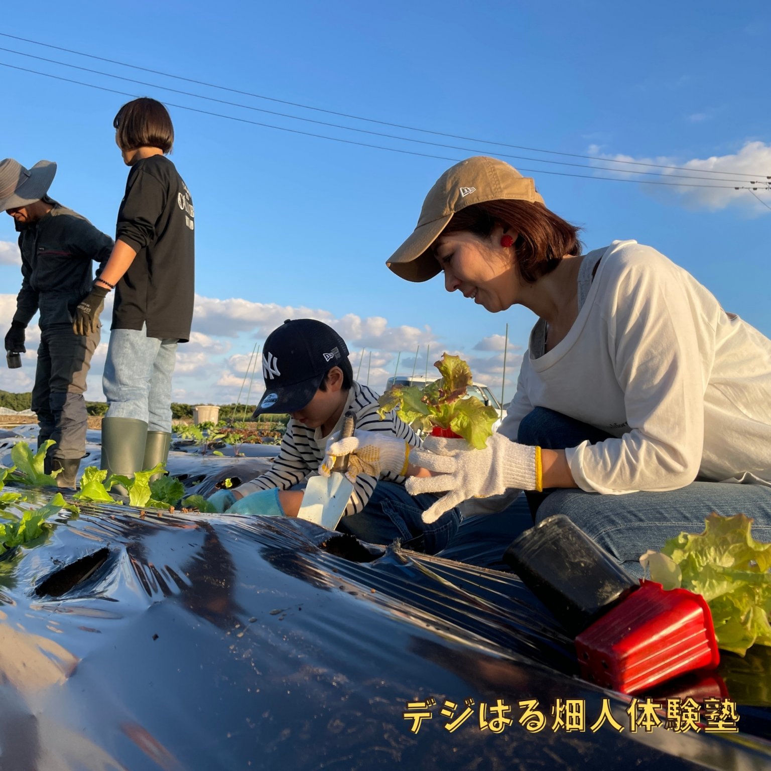 【法人・団体様】回数券プラン12回｜デジはる畑人体験塾