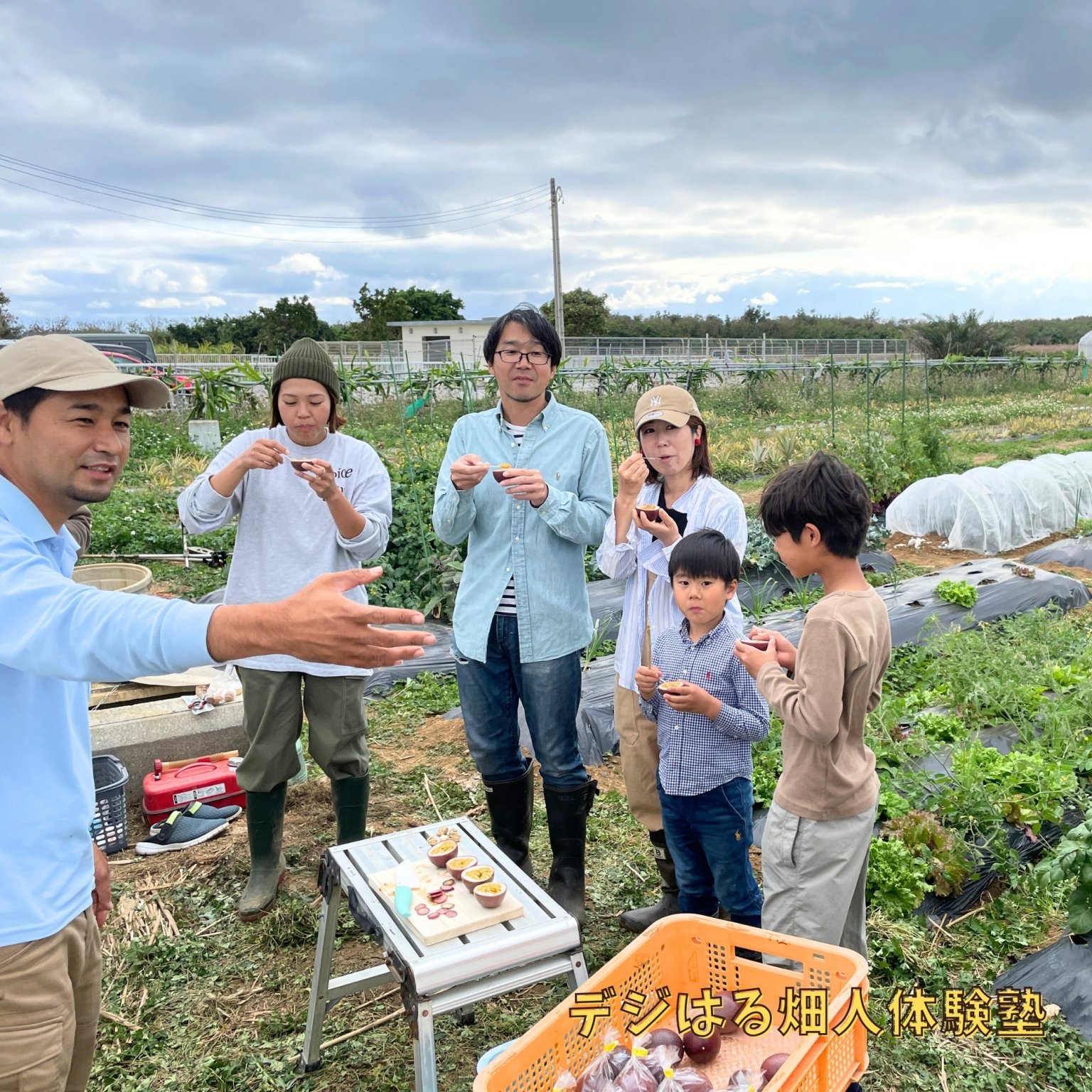 【法人・団体様】回数券プラン12回｜デジはる畑人体験塾