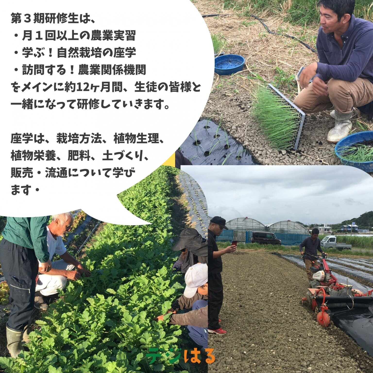 【農業研修生育成プログラム】研修生加入／サブスク（９月〜翌８月）|2025年9月よりスタート中・アーカイブあり・途中参加可能