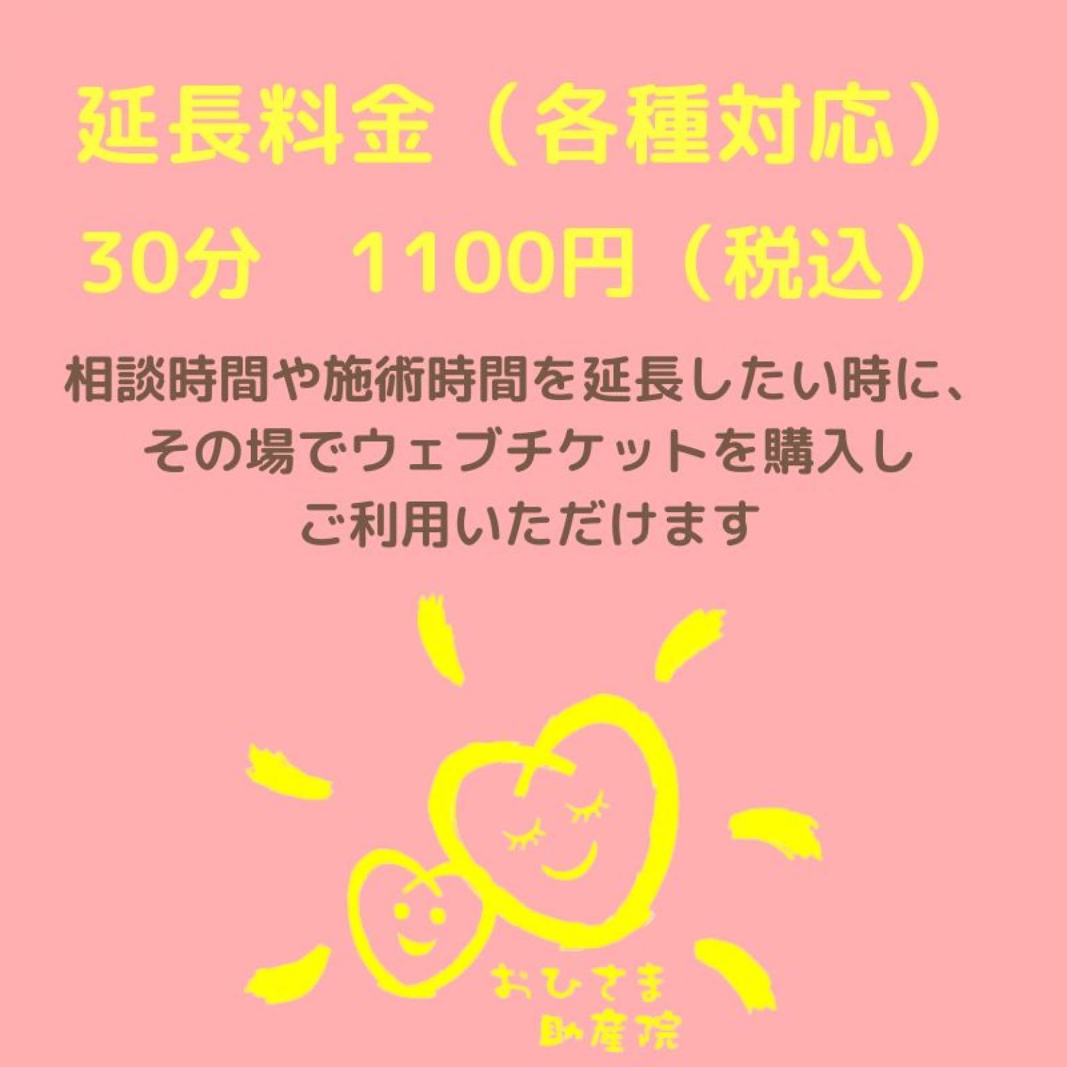 延長料金（各種対応）