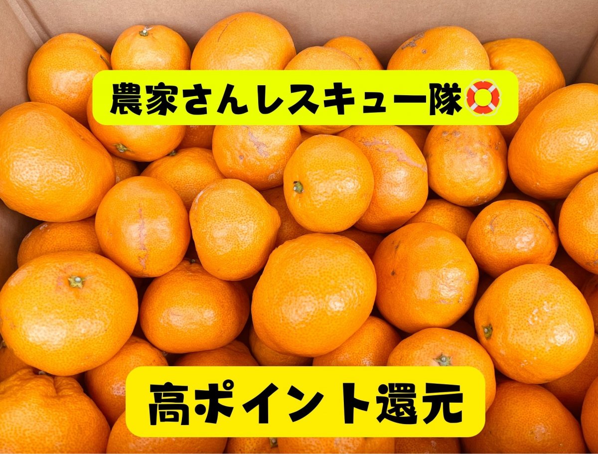 【送料無料・15kg箱】広島県産みかん|規格外|産地直送