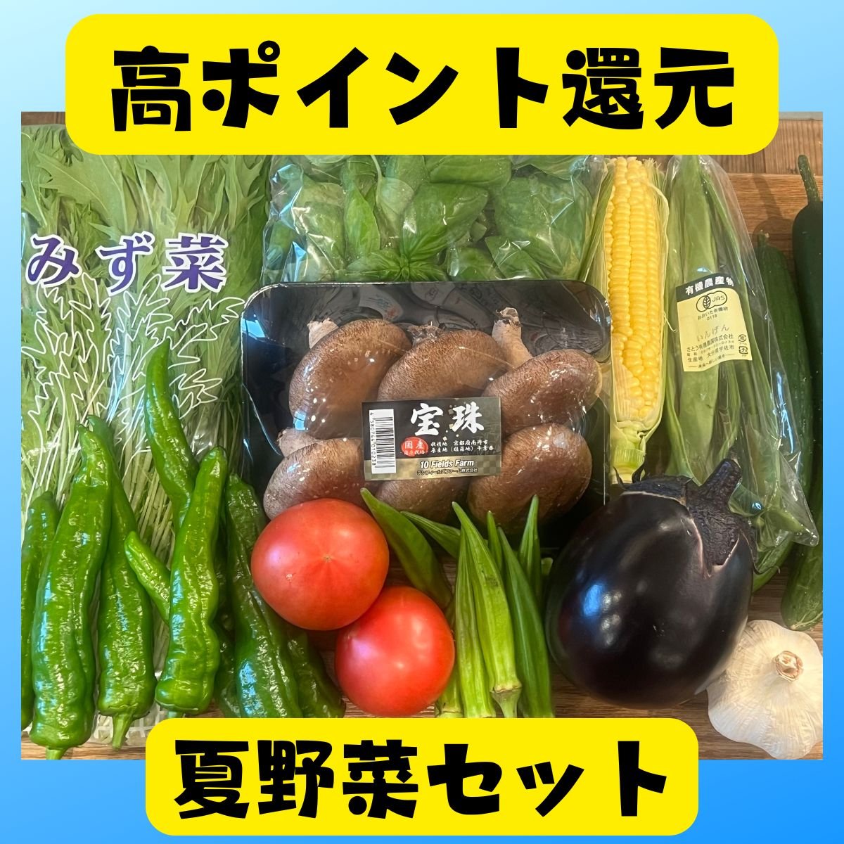 送料込み・高ポイント還元｜夏野菜セット｜おまかせ