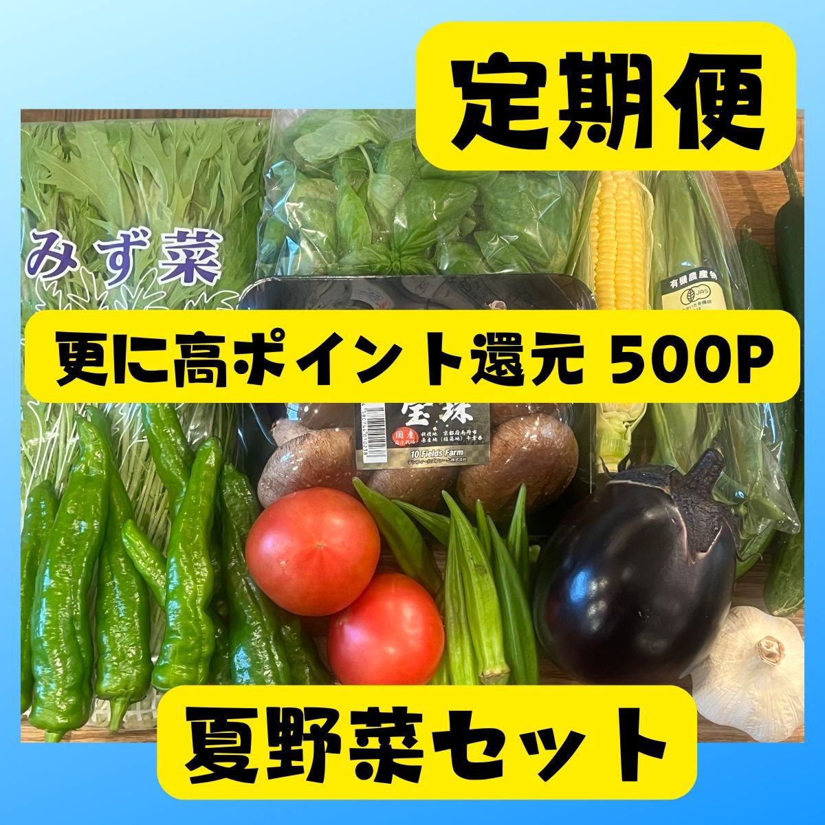 定期便｜送料込み・更に高ポイント還元｜夏野菜セット｜おまかせ