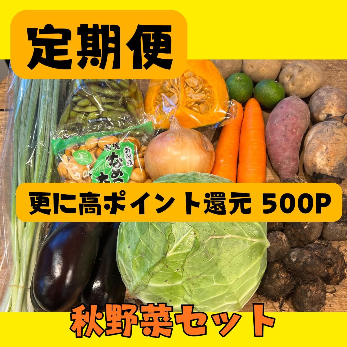 定期便｜送料込み・更に高ポイント還元｜秋野菜セット｜おまかせ