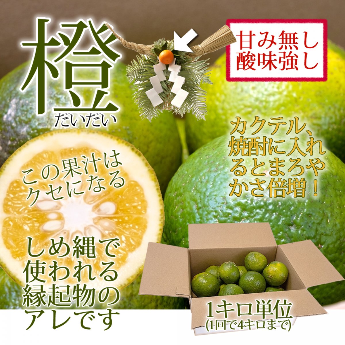 みかん橙(だいだい)1kg ４キロまで購入可! ポン酢として、焼酎・カクテルのアクセントとして／先行予約受付中／贈答／お歳暮／贅沢みかん／高級みかん しめ縄 縁起物