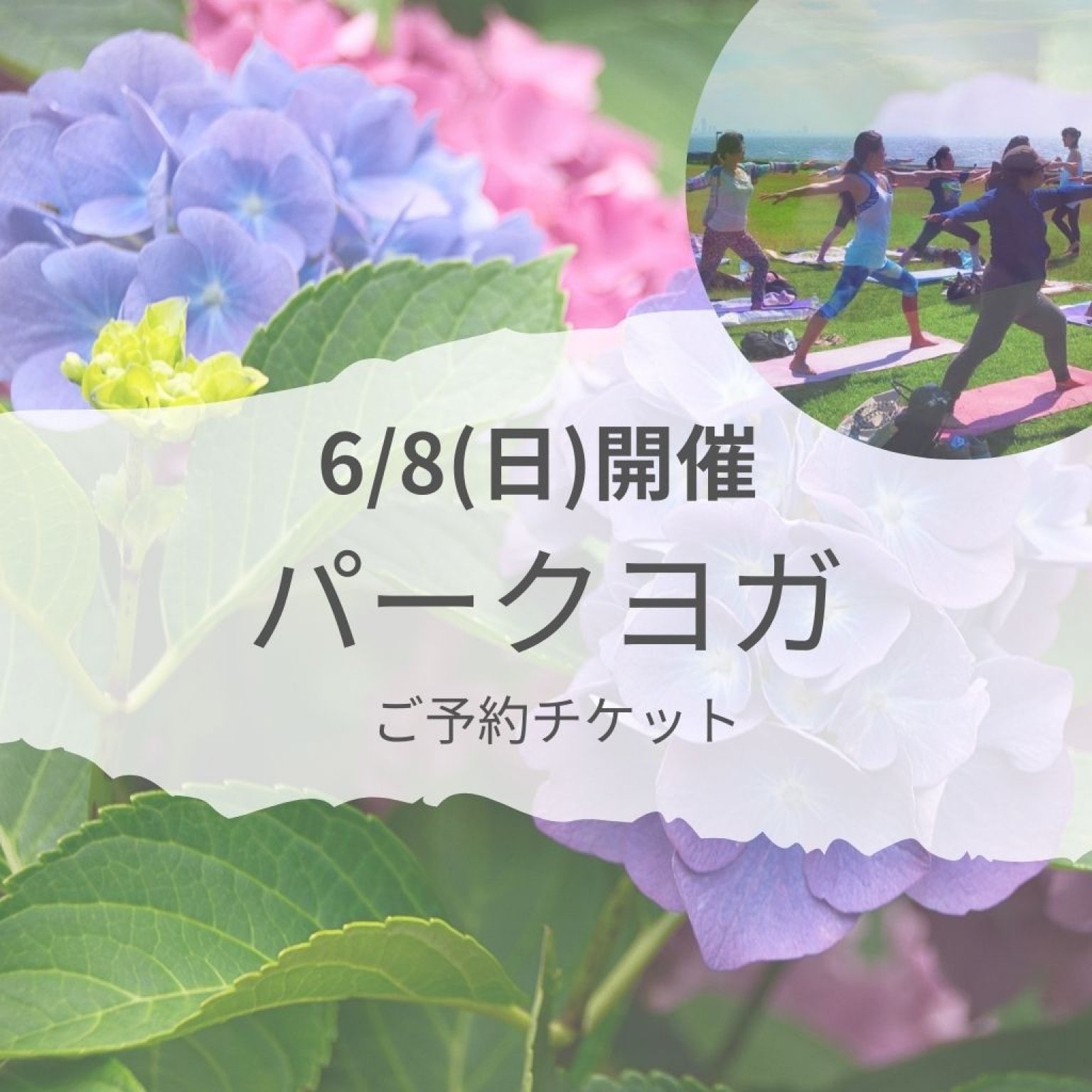 【6/8(日)　パークヨガ】
