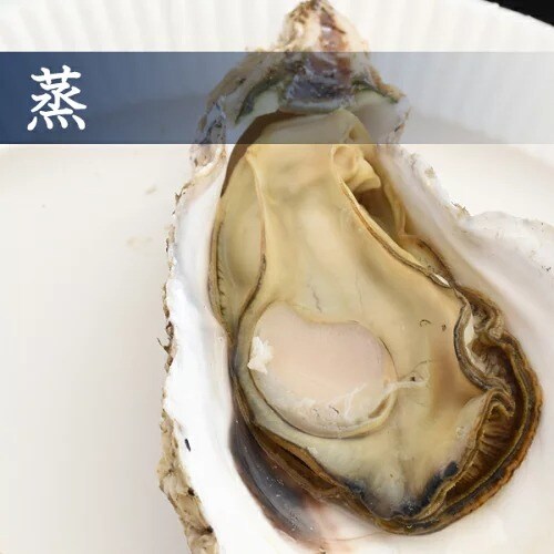 最終お値下げ♪有松鳴海絞り✴︎丸菊 有松・鳴海絞会館