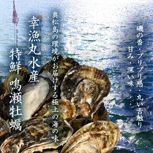 最終お値下げ♪有松鳴海絞り✴︎丸菊 現品限り】 船竿 伝衛門丸 旭舷(きょくげん) OYOGASE-GR KIWAMI