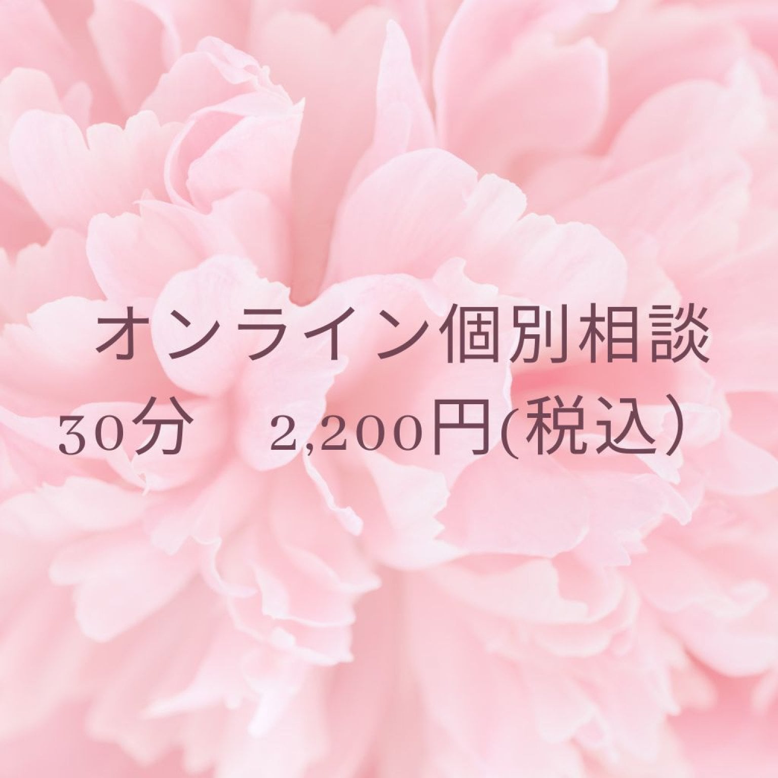 【オンライン個別相談】30分コース