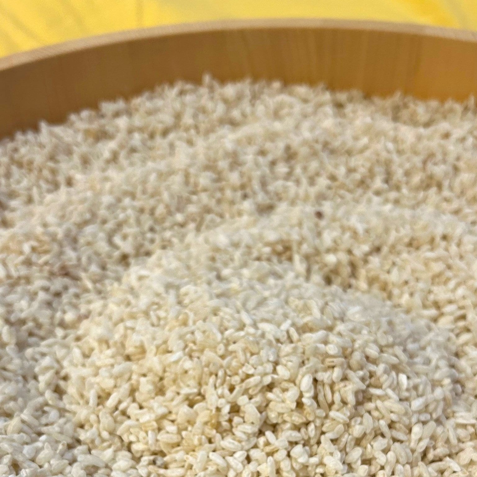 【1/21(水)10:30～】小麦・砂糖・卵・乳製品不使用☆焼いてないのに焼いた風 “No-bake (焼かない)”チーズケーキレッスン