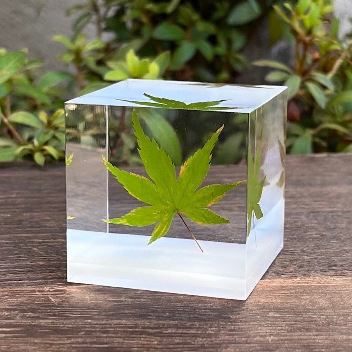 【近代技術工芸品】J/Eternal Block 紅葉..