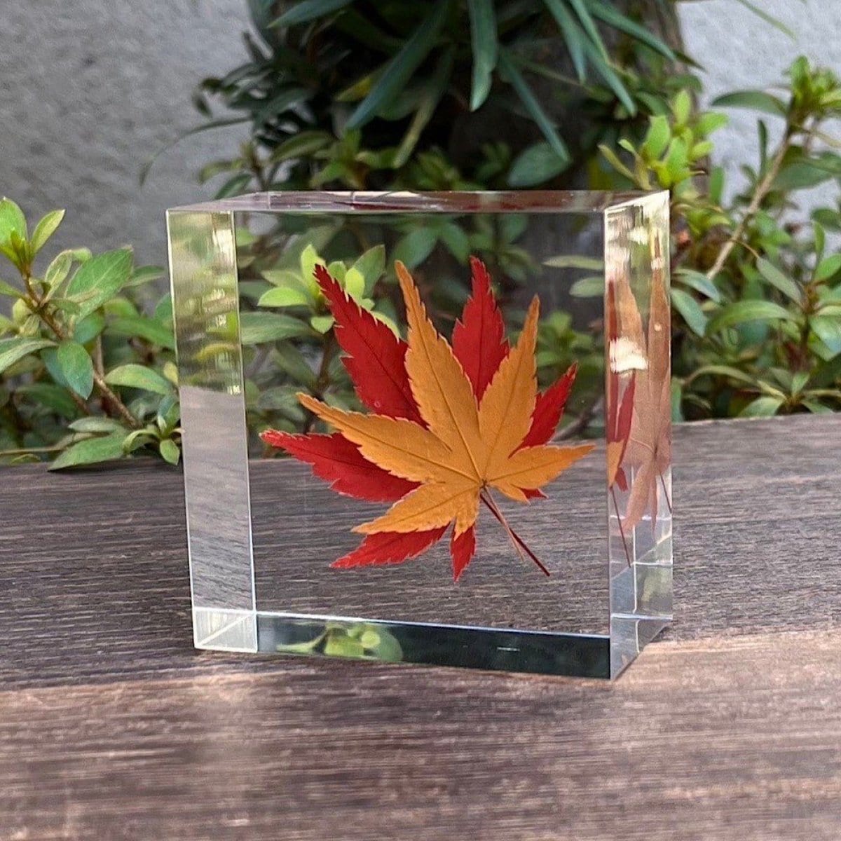 【近代技術工芸品】J/Eternal Block 紅葉..