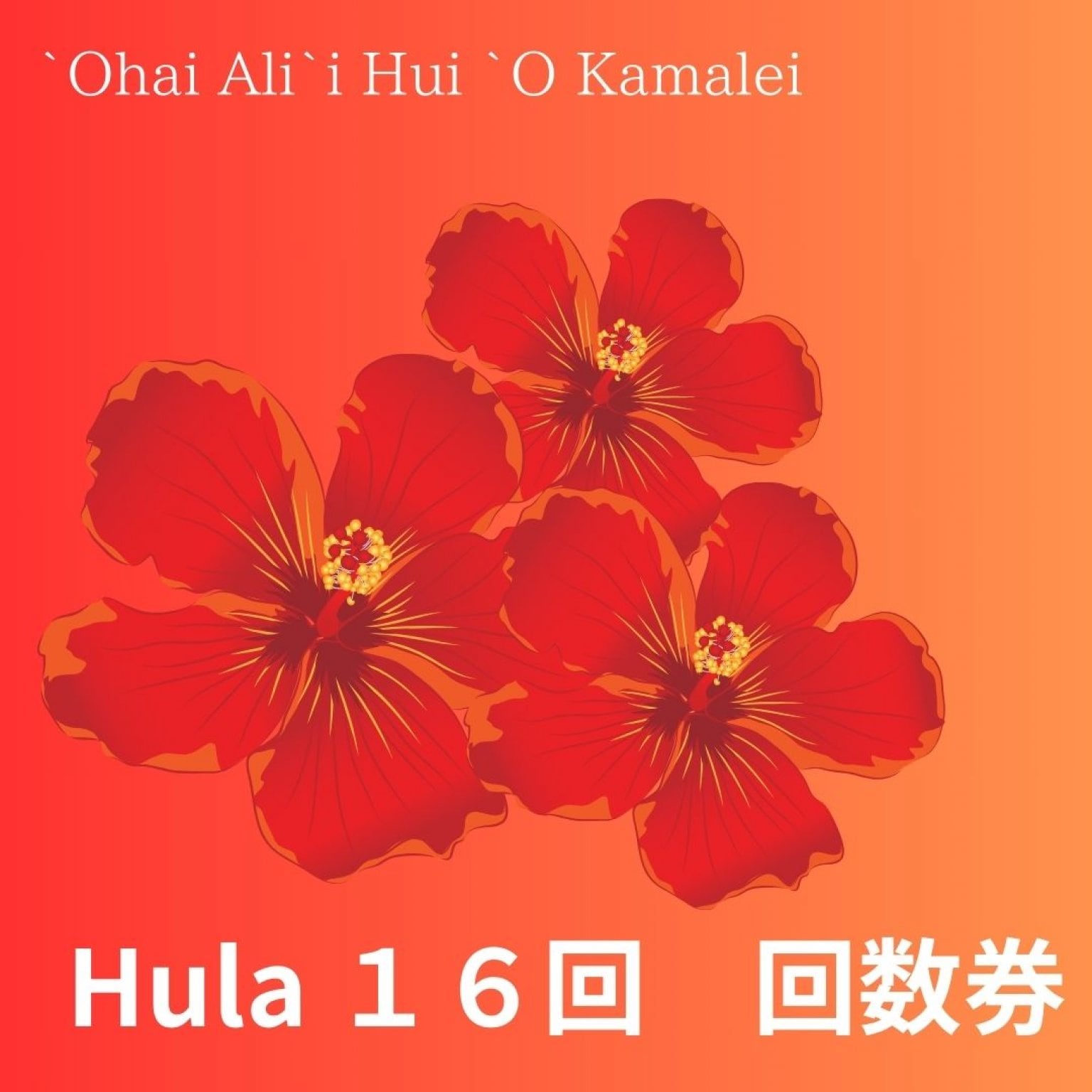 【HULA　１６】フラレッスン(1回75分)　ｘ　１６回　・愛知県小牧市でフラダンス Hi-loco Hula & Natural Beauty