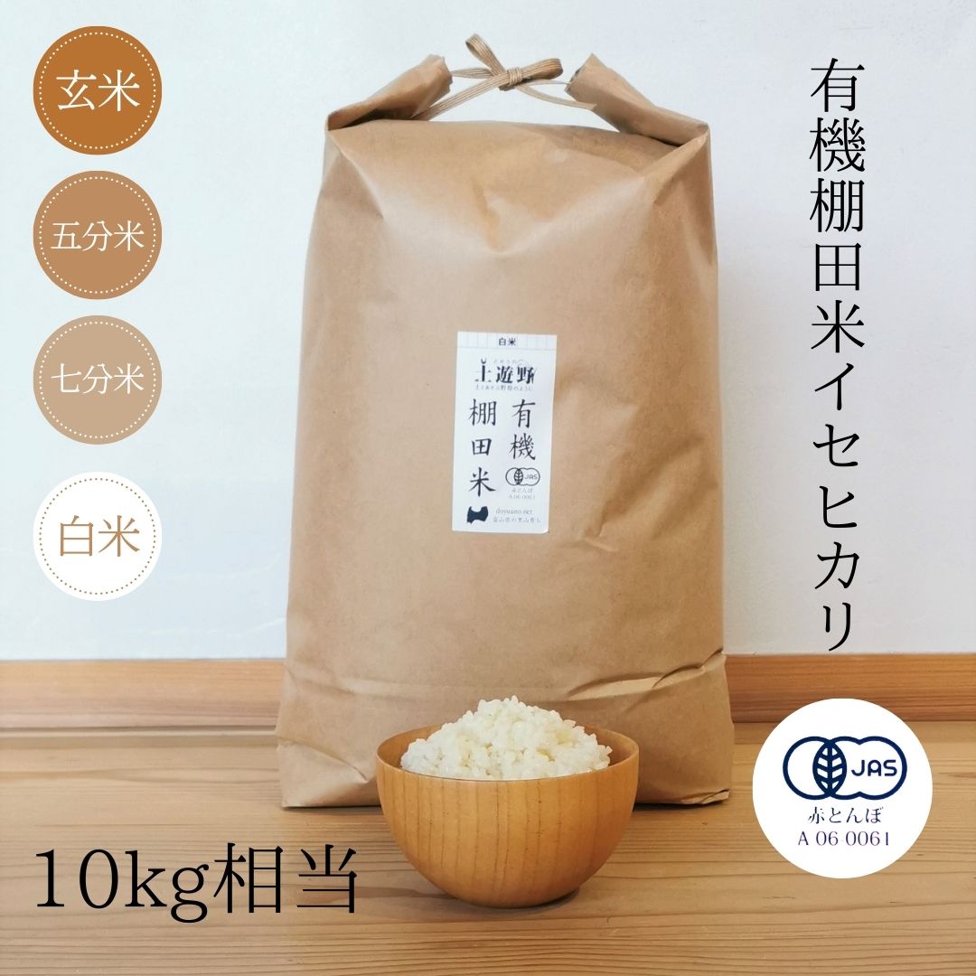 令和6年度　棚田米　八代市東陽町産　ヒノヒカリ　30kg 令和6年度 棚田米 八代市東陽町産 ヒノヒカリ 30kg