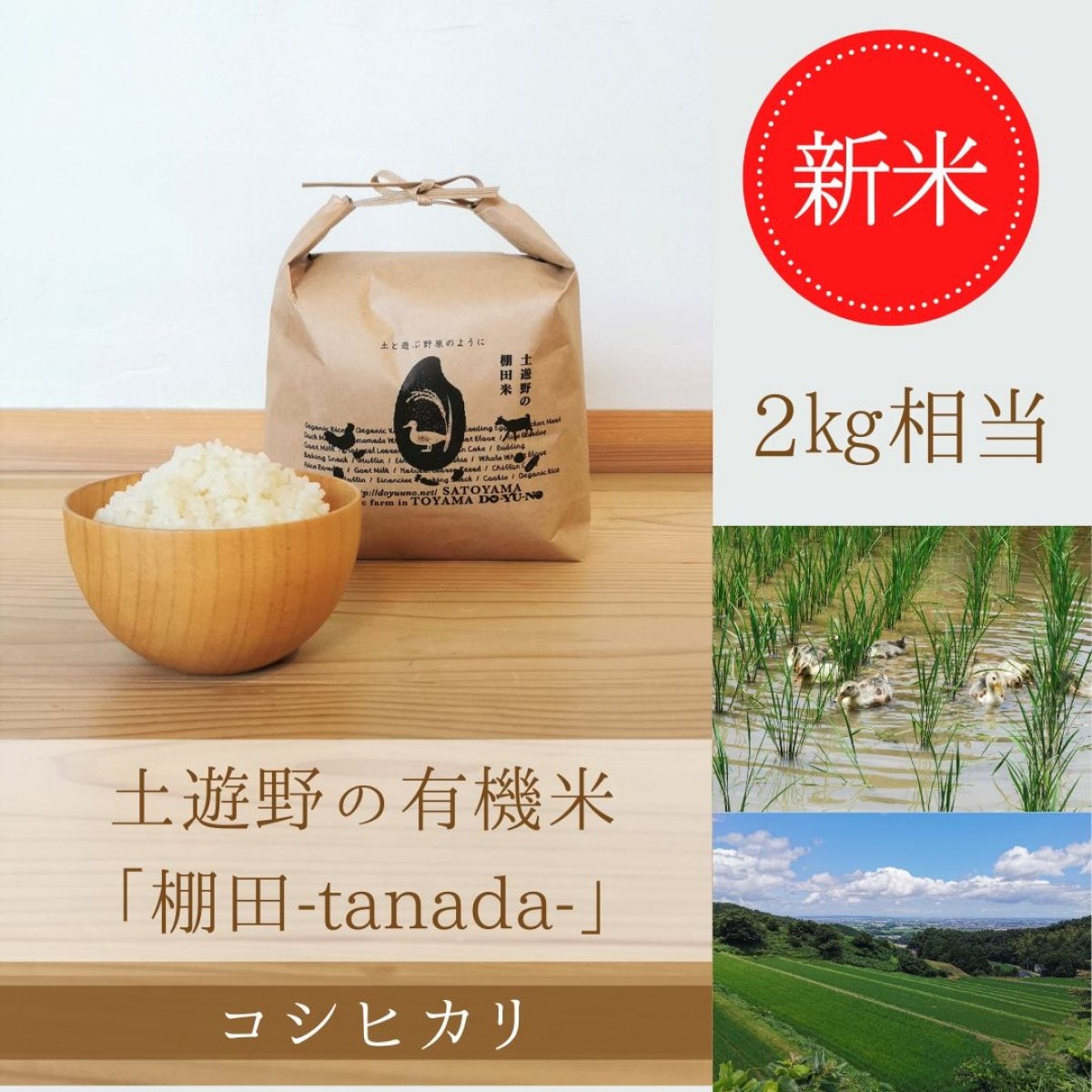 ≪新米・令和5年産≫ 土遊野の有機米「棚田-tanada-」コシヒカリ2