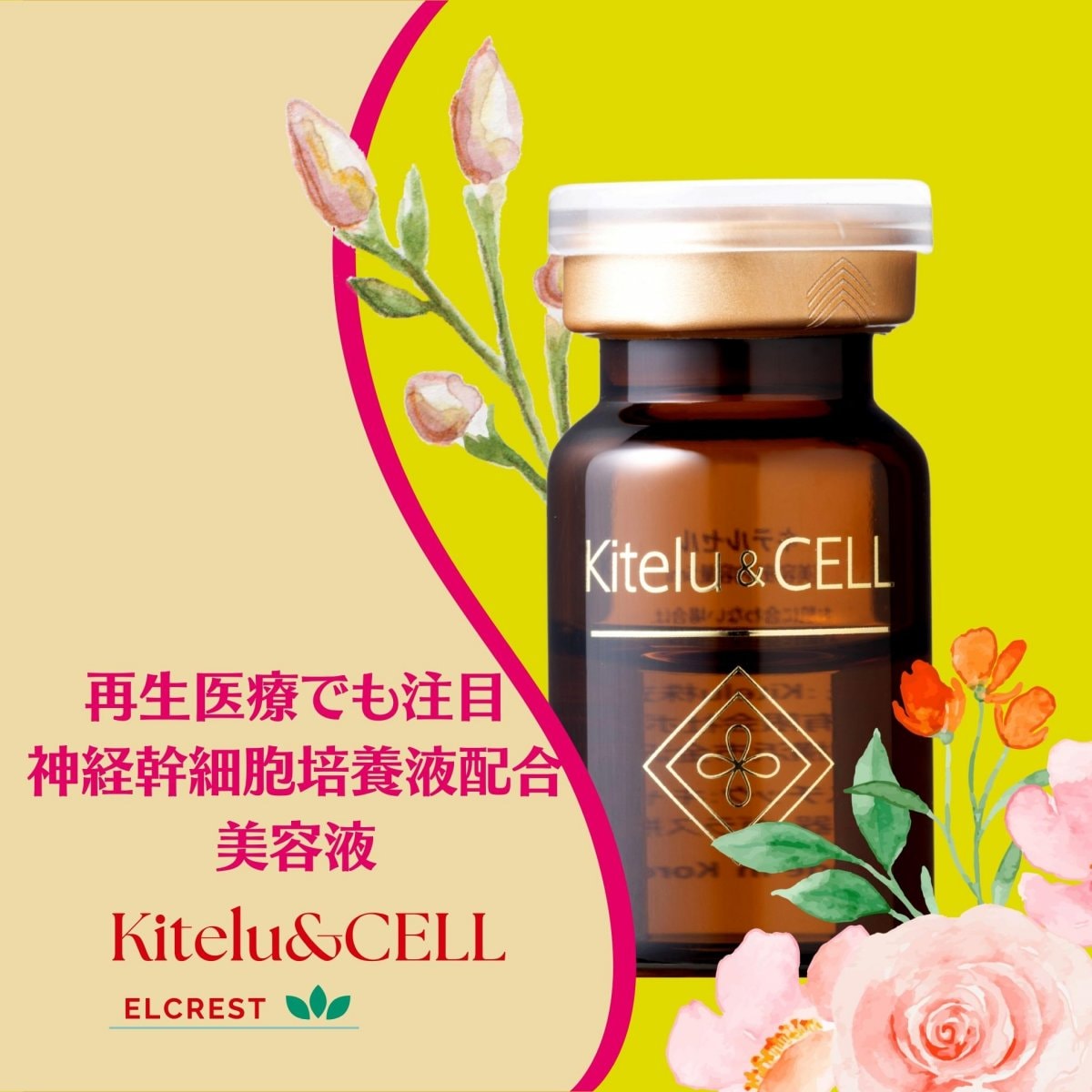 再生医療で注目、神経幹細胞培養液配合の美容液Kitelu&CELL（キテルセル）１本