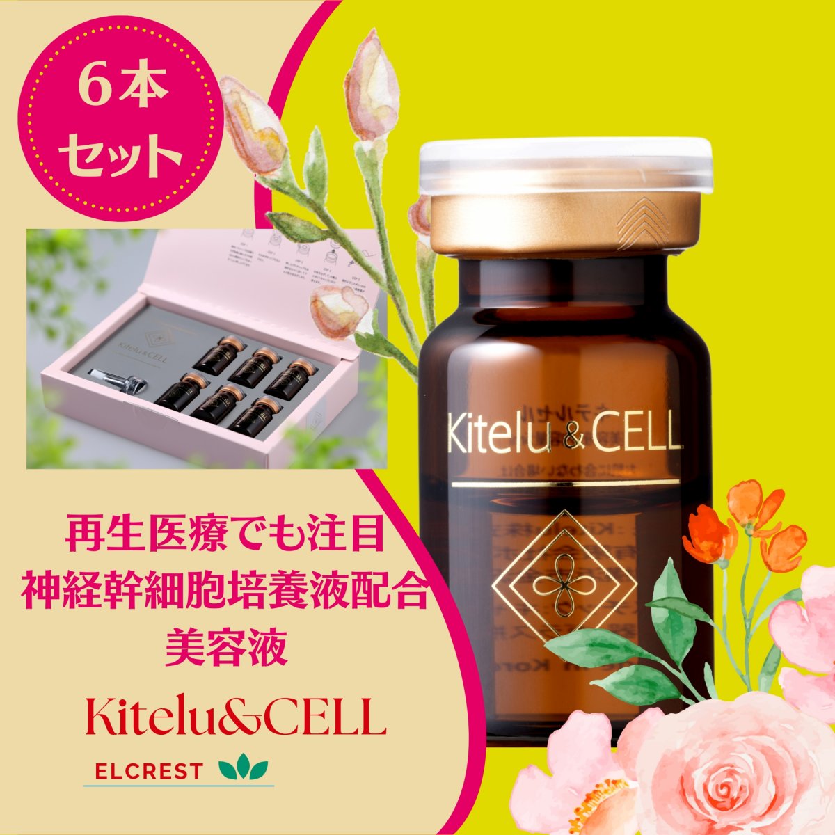 6本セット・再生医療で注目、神経幹細胞培養液配合の美容液Kitelu&CELL（キテルセル）