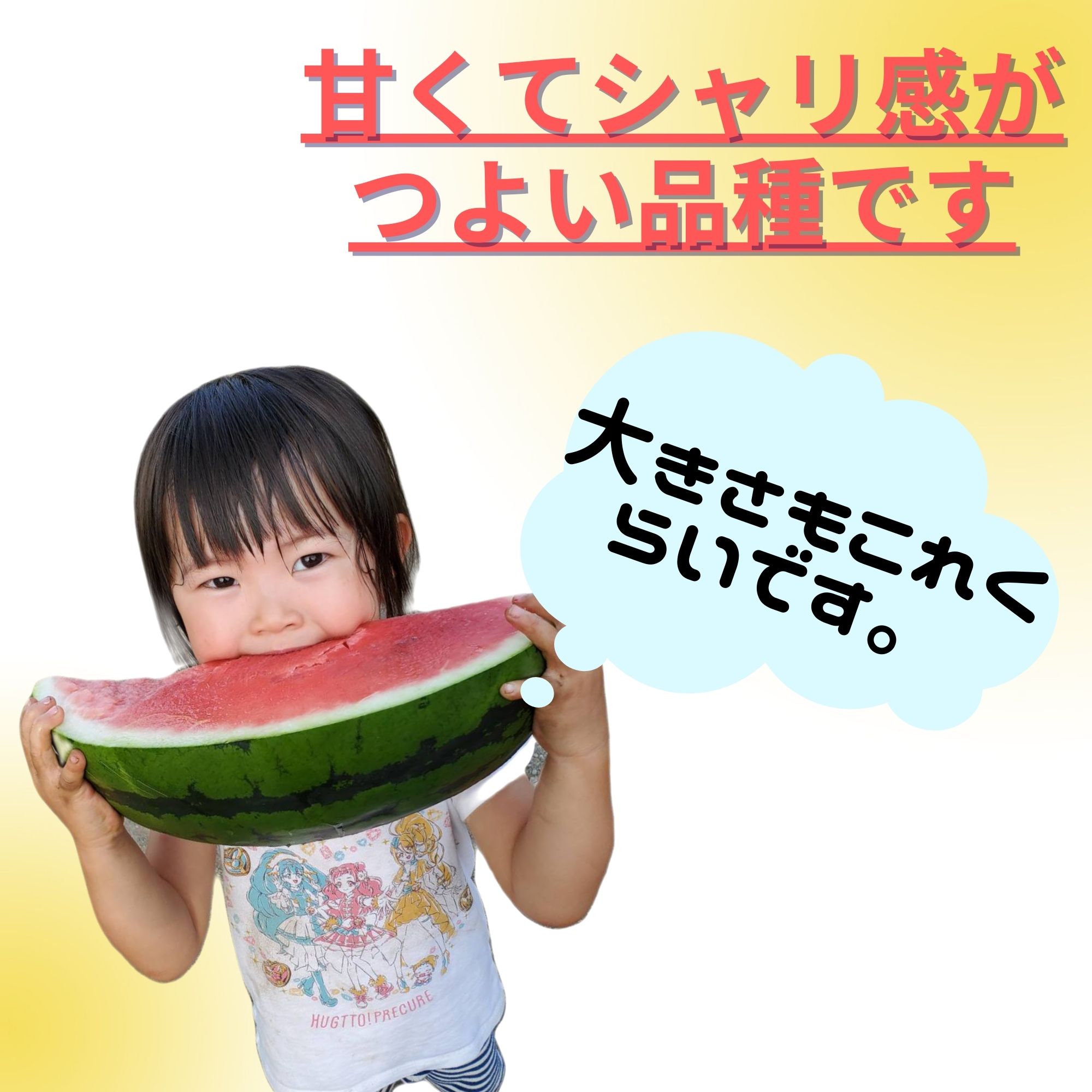 祭ばやし777 20本 8cmポット 祭りばやし まつりばやし スリーセブン 小千谷産大玉スイカ「祭りばやし777 (スリーセブン)」 ｜新潟