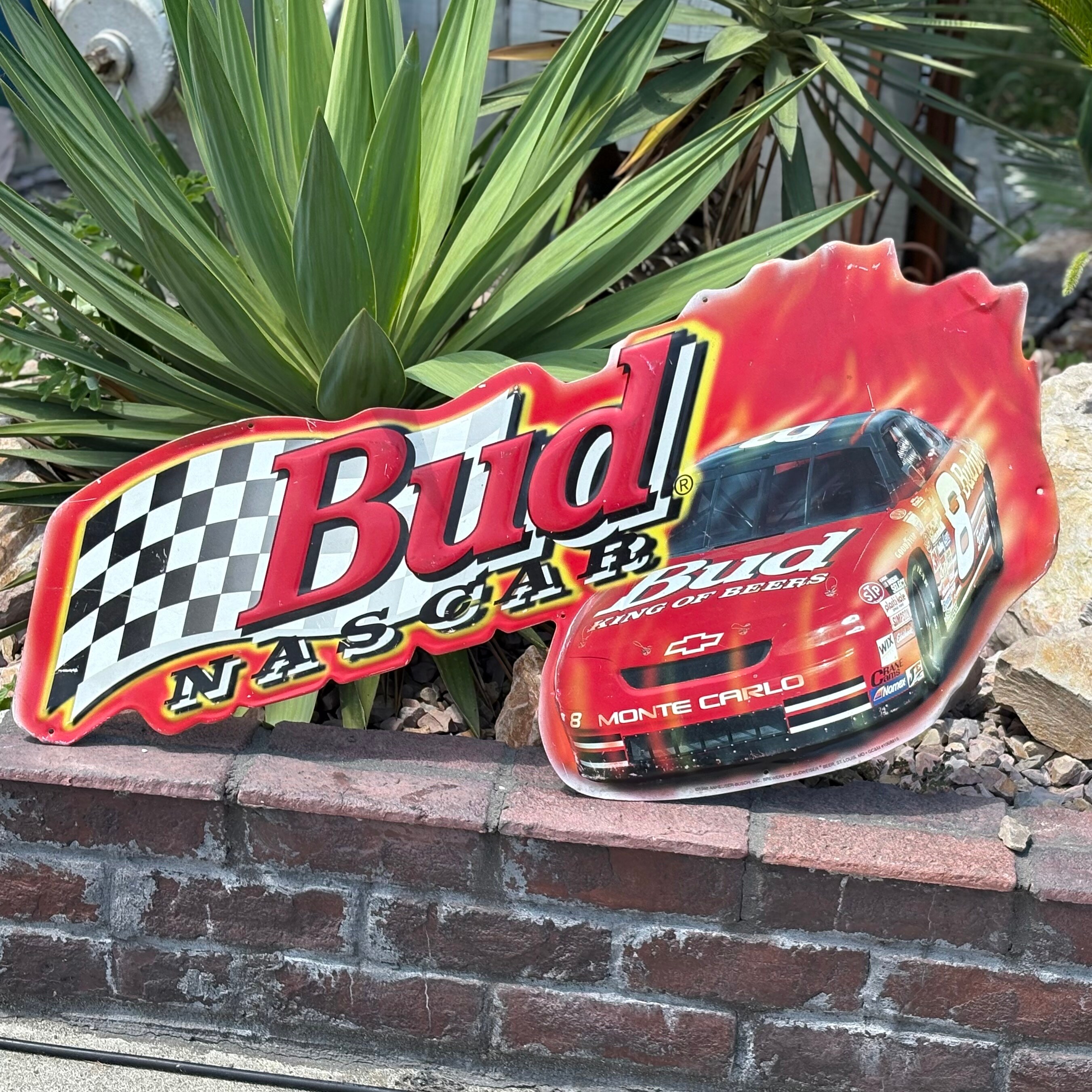 ナスカー NASCAR Budweiser #29 ボンネットディスプレイ DALE EARNHARDT JR 2000 BUDWEISER U.S. OLYMPIC TEAM 1/24 RCCA