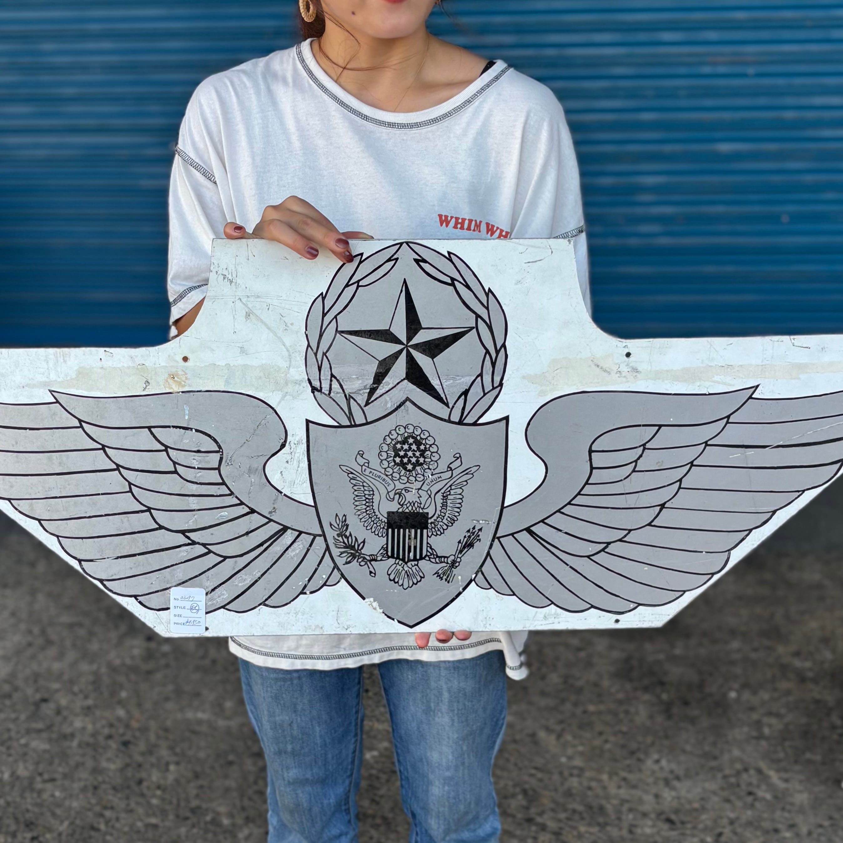 Vintage U.S. Air Force Style Wing Emblem Sign