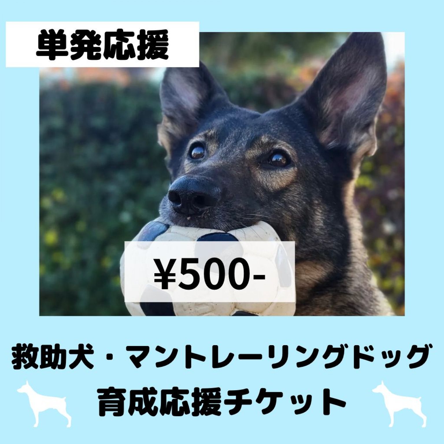 【単発応援】救助犬・マントレーリングドッグ育成応援チケット　500円チケット