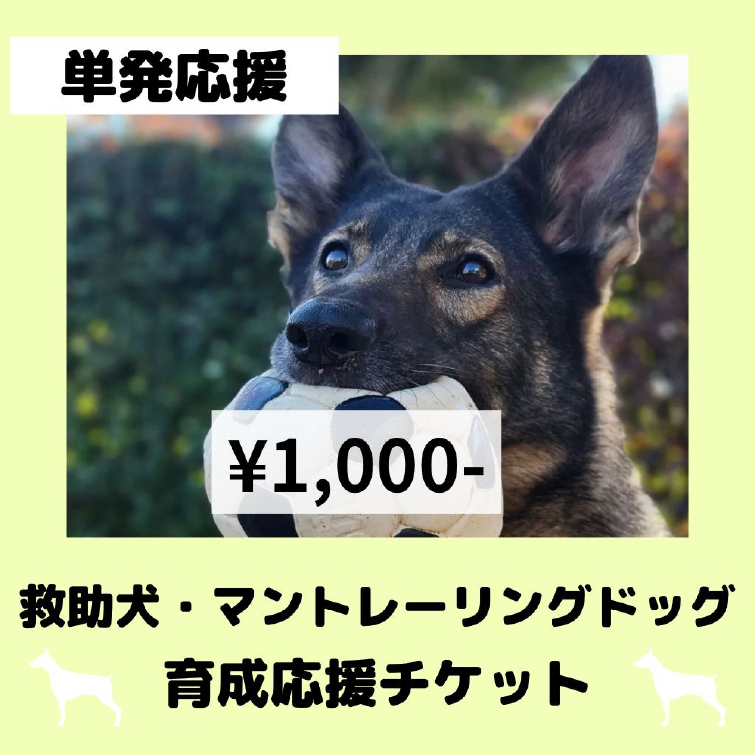 【単発応援】救助犬・マントレーリングドッグ育成応援チケット　1000円チケット
