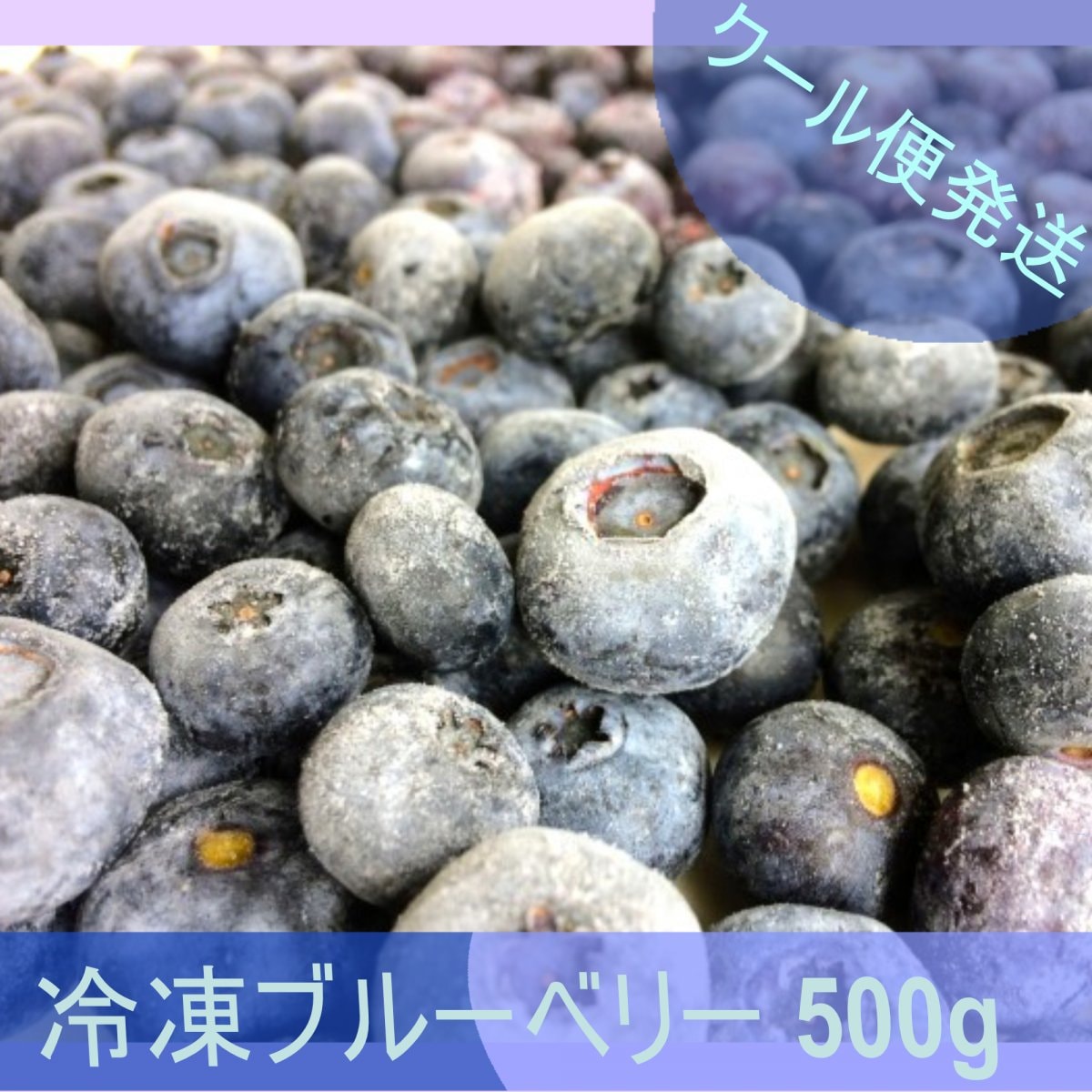 冷凍ブルーベリー500g　めぐファーム・長野特製 | ブルーベリーの育成状況により、順次販売