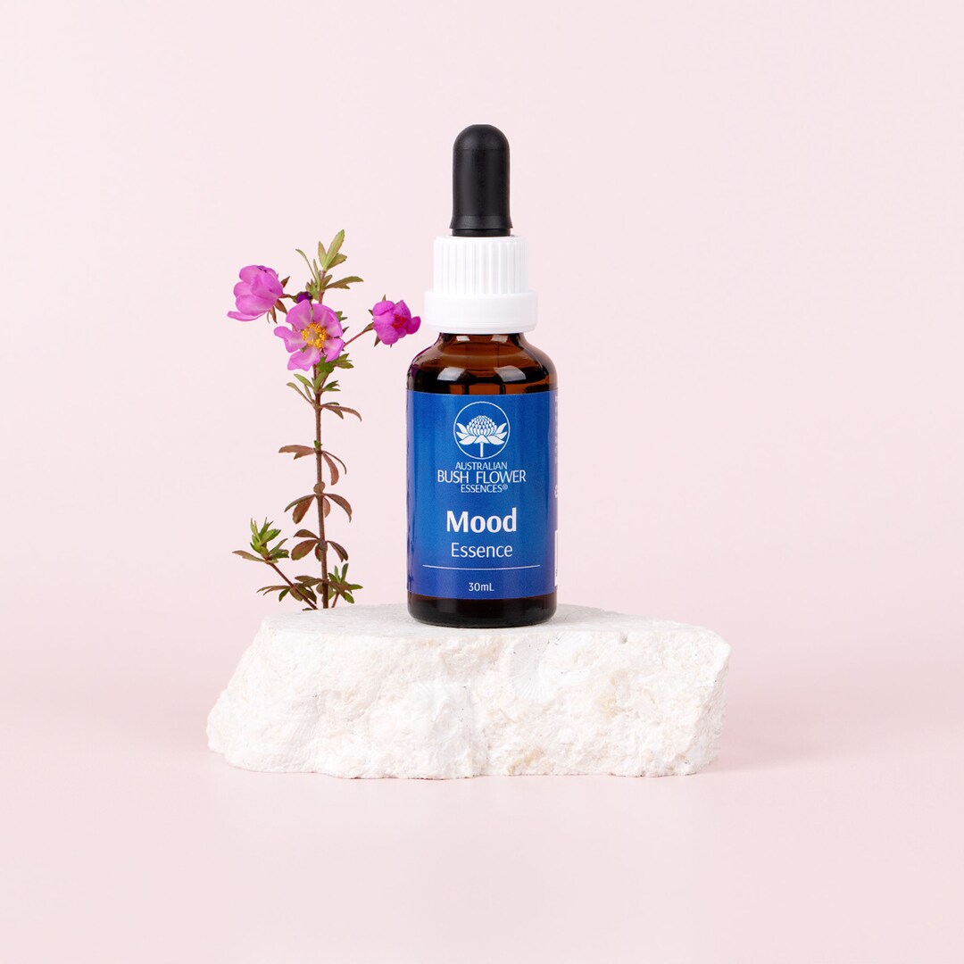 気分、喜び』ムード [Mood]