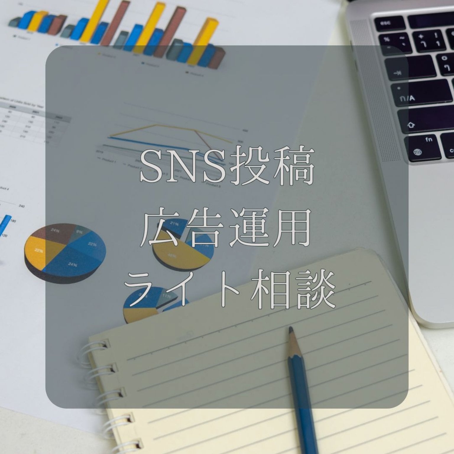 SNS投稿・広告運用 ライト相談