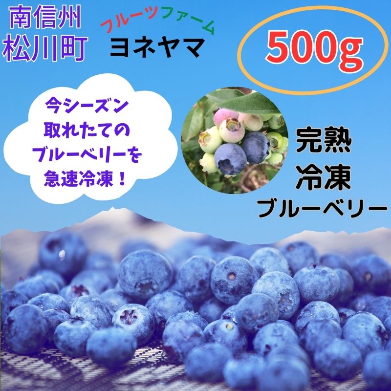 完熟冷凍ブルーベリー/2L/16ミリ〜/500g