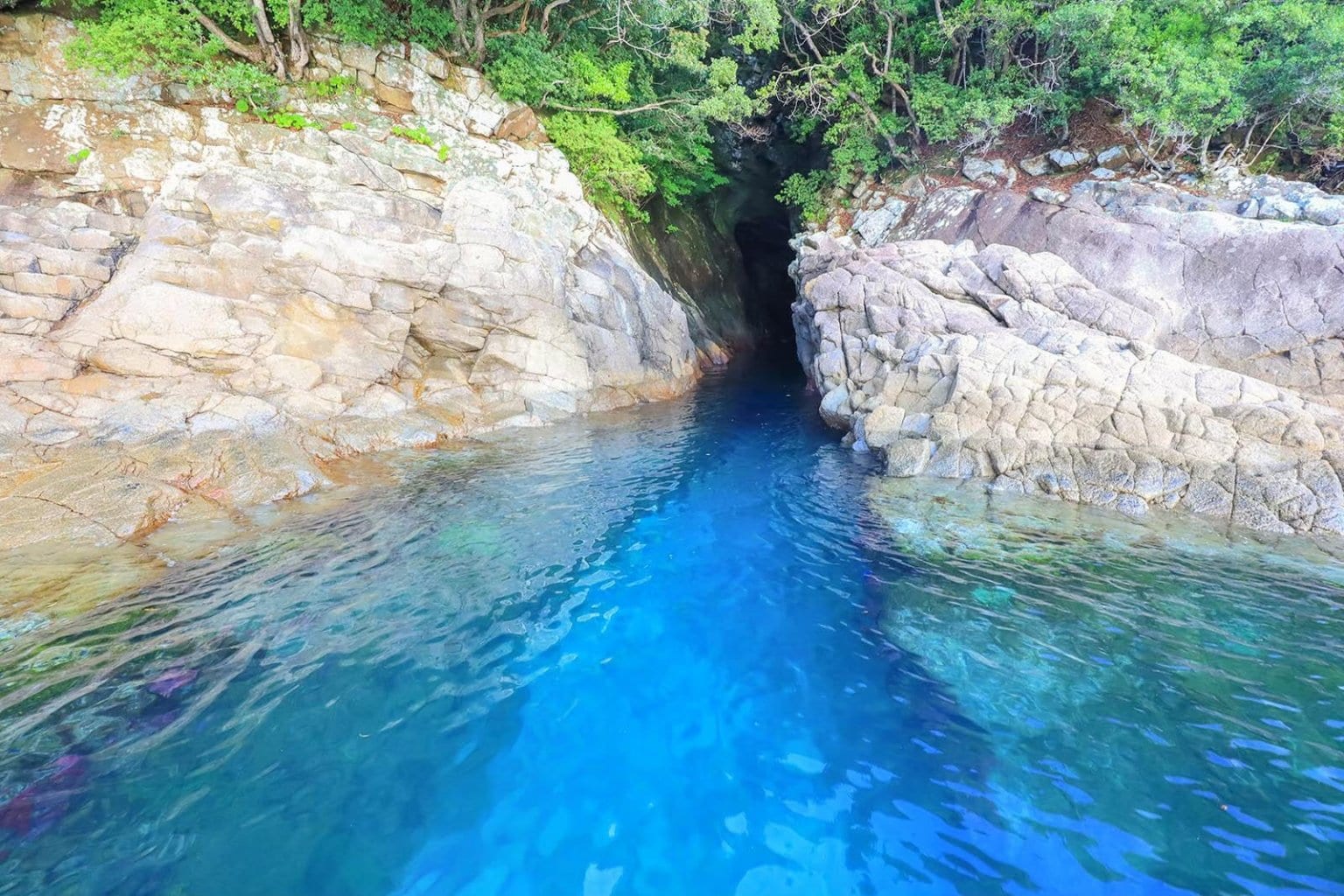 【オハイの環わり】絶景巡り オハイクルージング 【土、日、祝日、その他特別日】