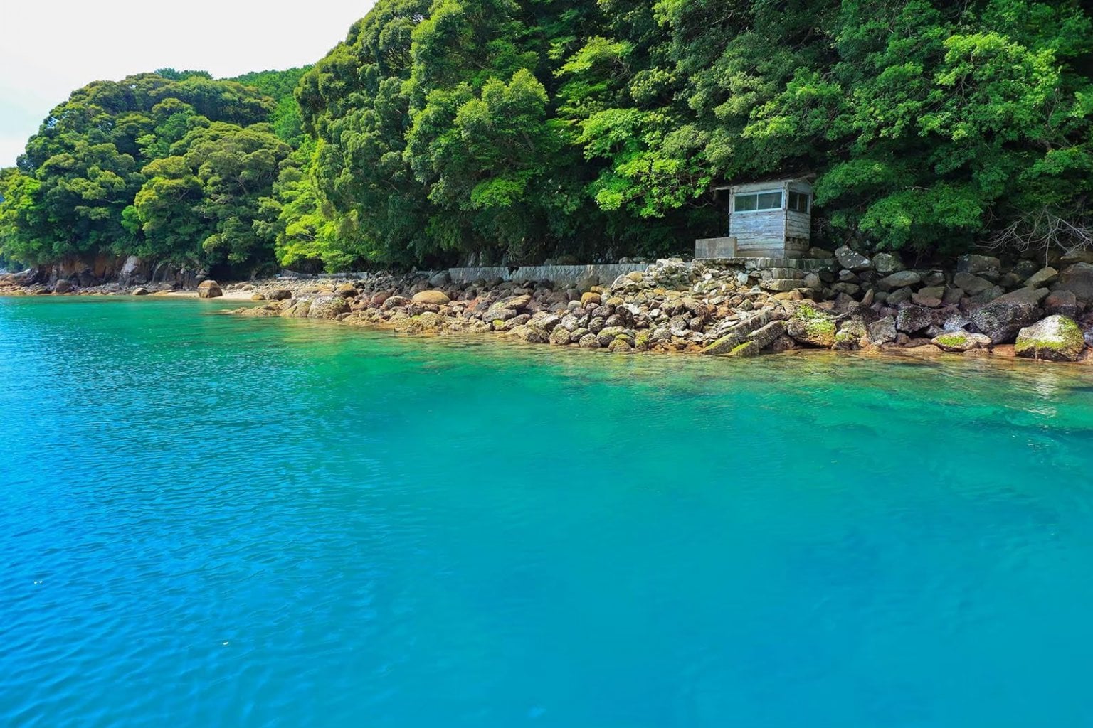 【オハイの環わり】絶景巡り オハイクルージング 【土、日、祝日、その他特別日】