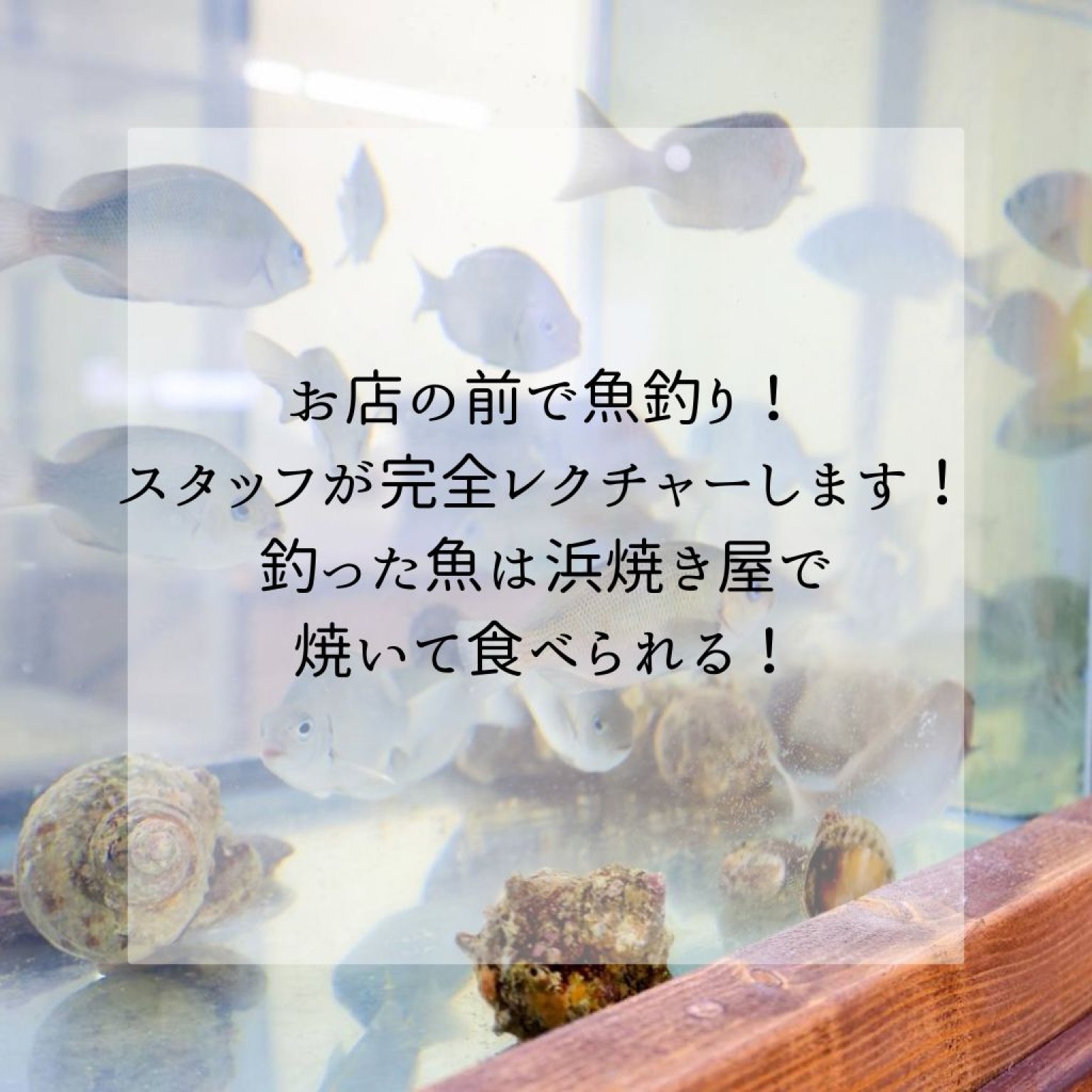 お店の前で魚釣り！スタッフが完全レクチャーします！釣った魚は浜焼き屋で焼いて食べられる！