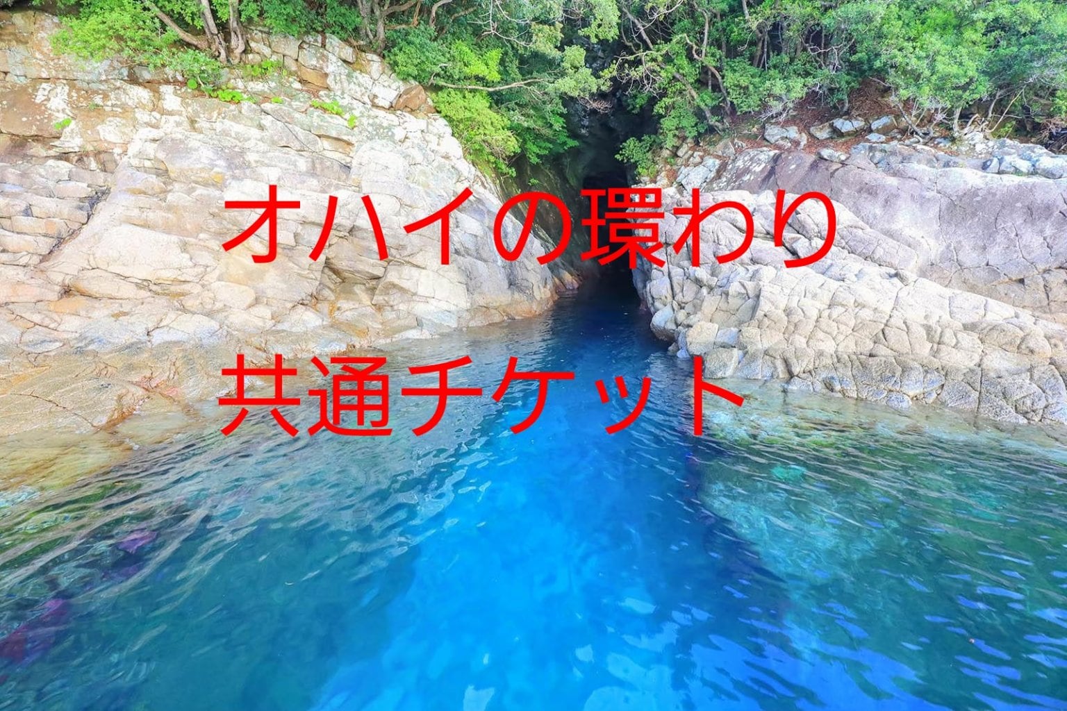 【オハイの環わり】環わりグループをご利用の共有チケットです。オハイクルージング、釣り船 九鬼水軍、海鮮バーベキュー浜焼き屋、リラクゼーション九鬼、レンタルSUP