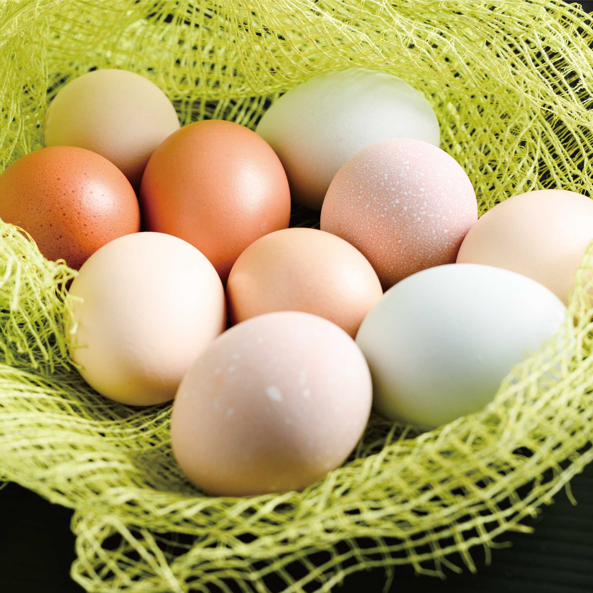 たまごジェラートセット( おまかせ8個入り ) ※クール便(冷凍)〜ちゃ