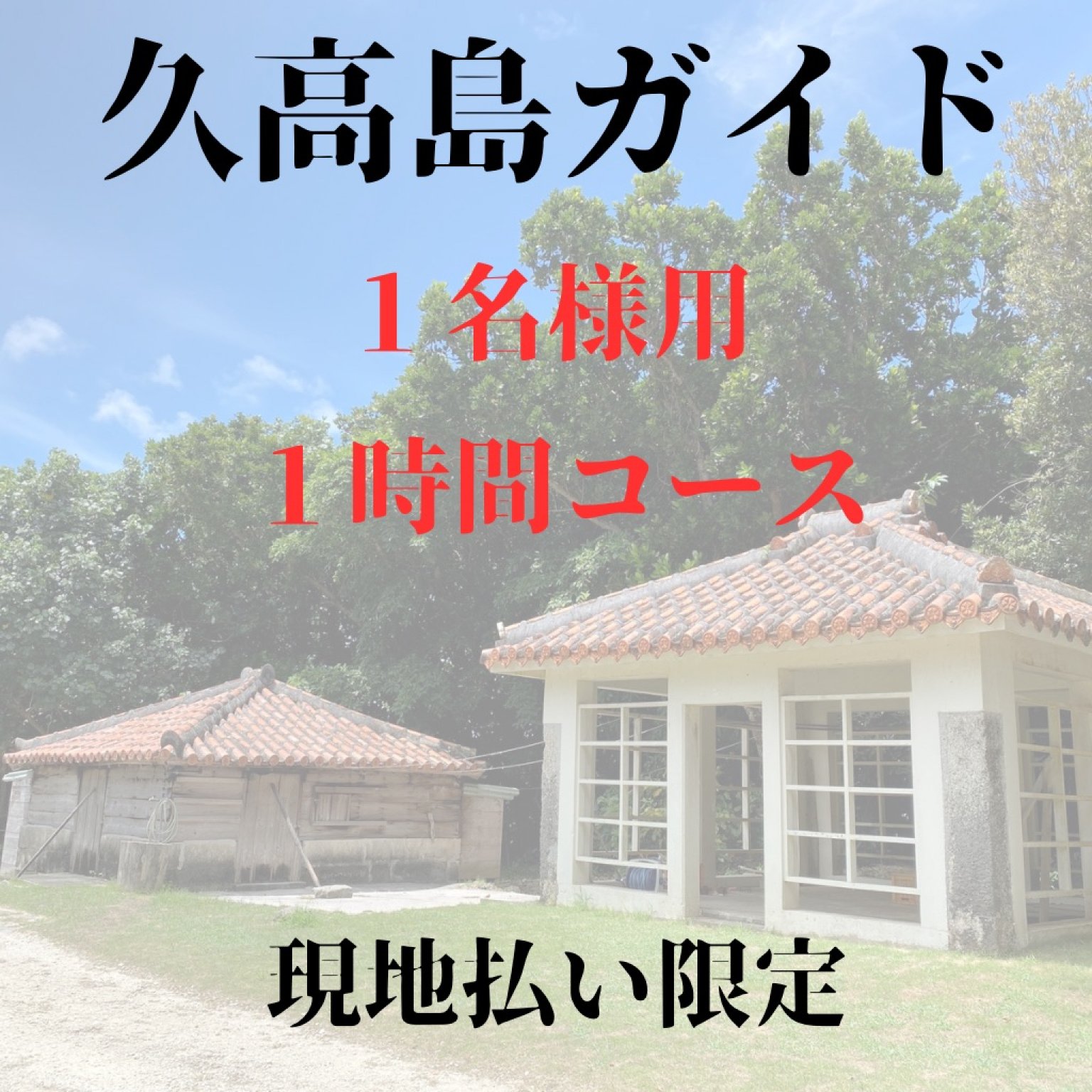 【大人1名様1時間コース】神の島久高島ガイド - 神の島久高島ガイド《沖縄パワーストーン龍凰城（りゅうおうじょう）》