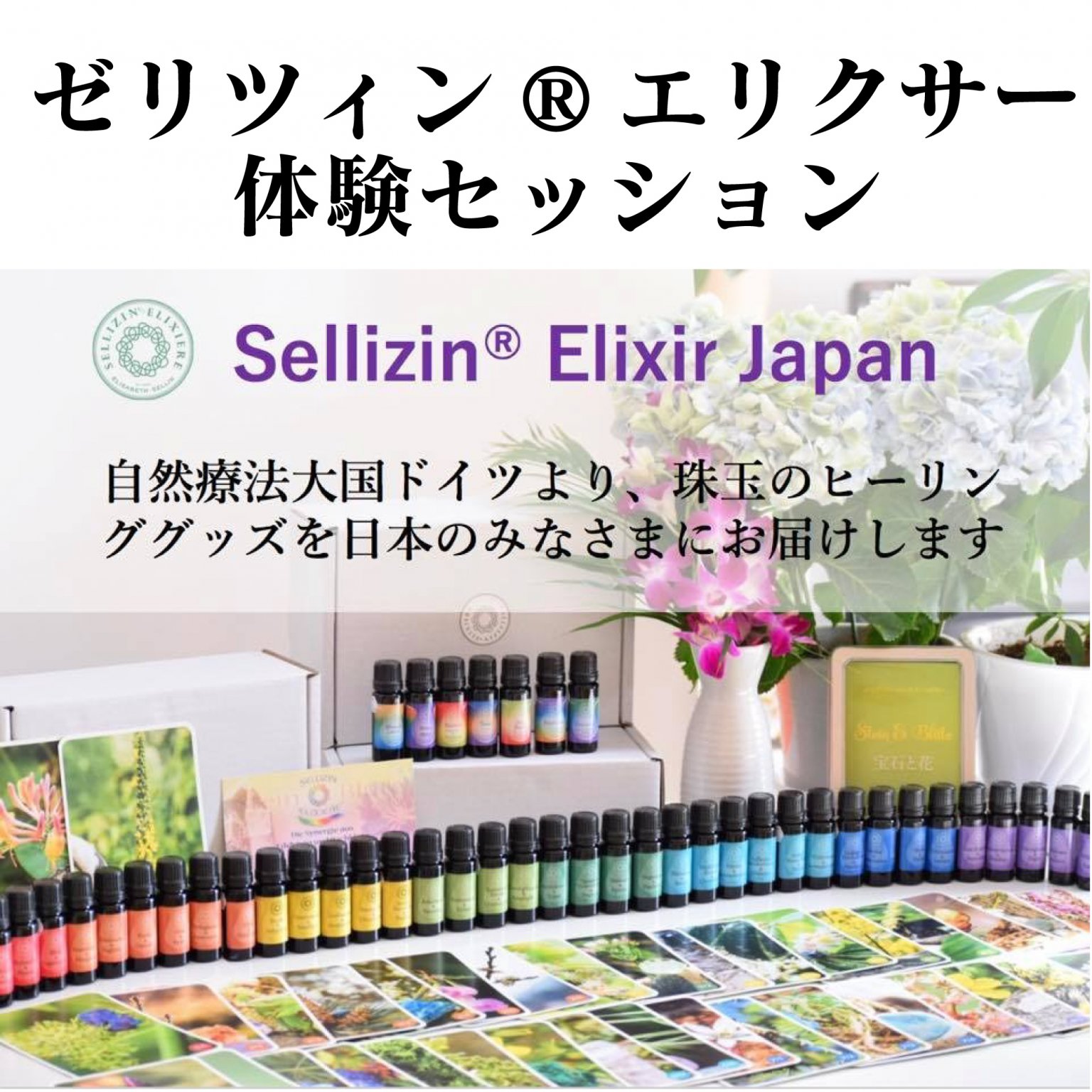 ゼリツィン®エリクサー 体験セッション(オンライン)