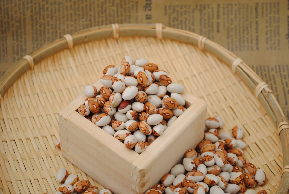 とら豆　虎豆　500ｇ　北海道産　レターパックでお届け
