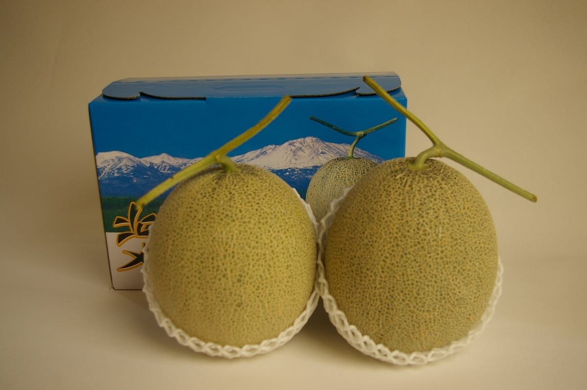 赤肉メロン　2玉　約1.6㎏　北海道産(アサヒ・らいでん・富良野など)　秀品