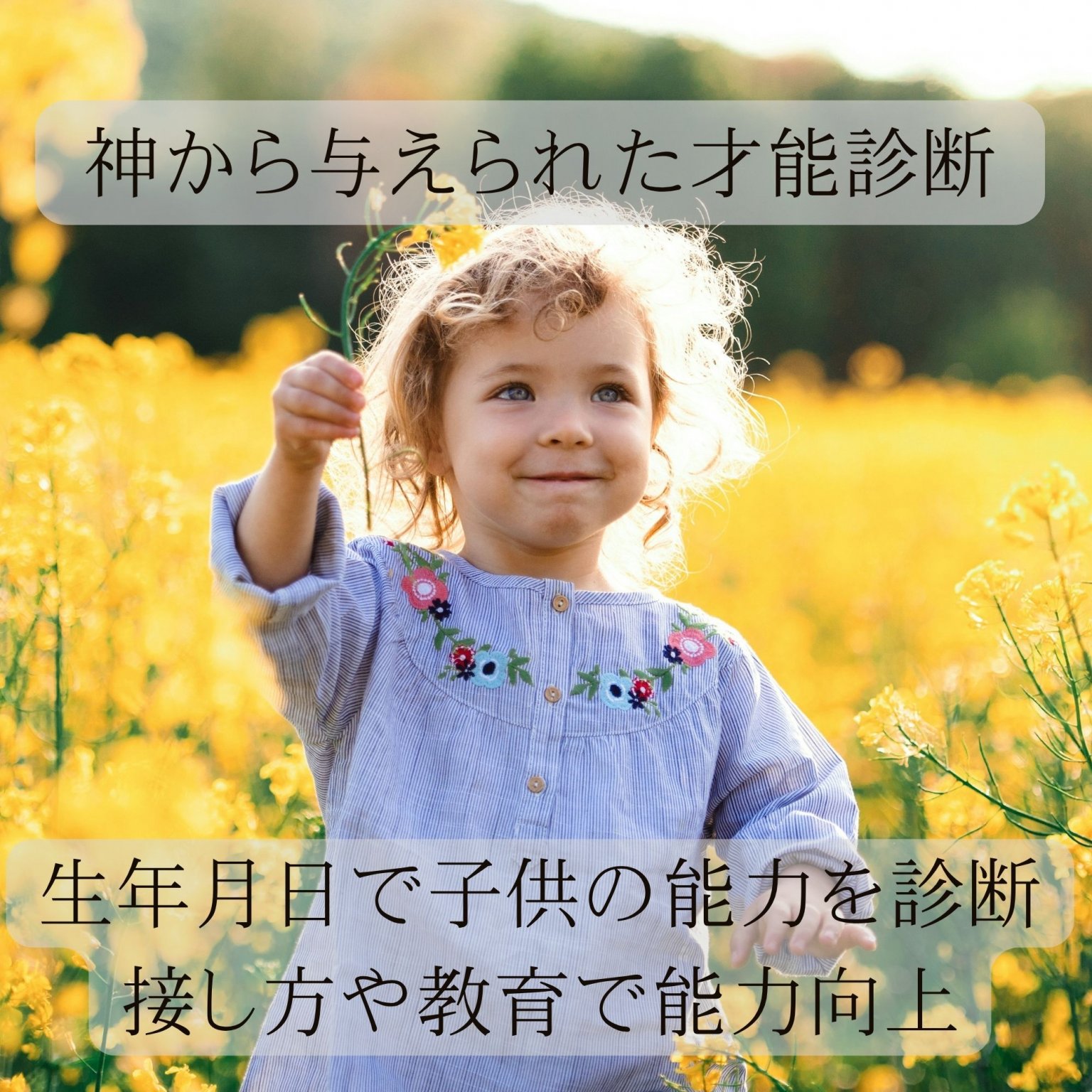 お子様の生年月日でわかる｢才能診断｣神から与えられた才能の見える化|個人レポート1名分