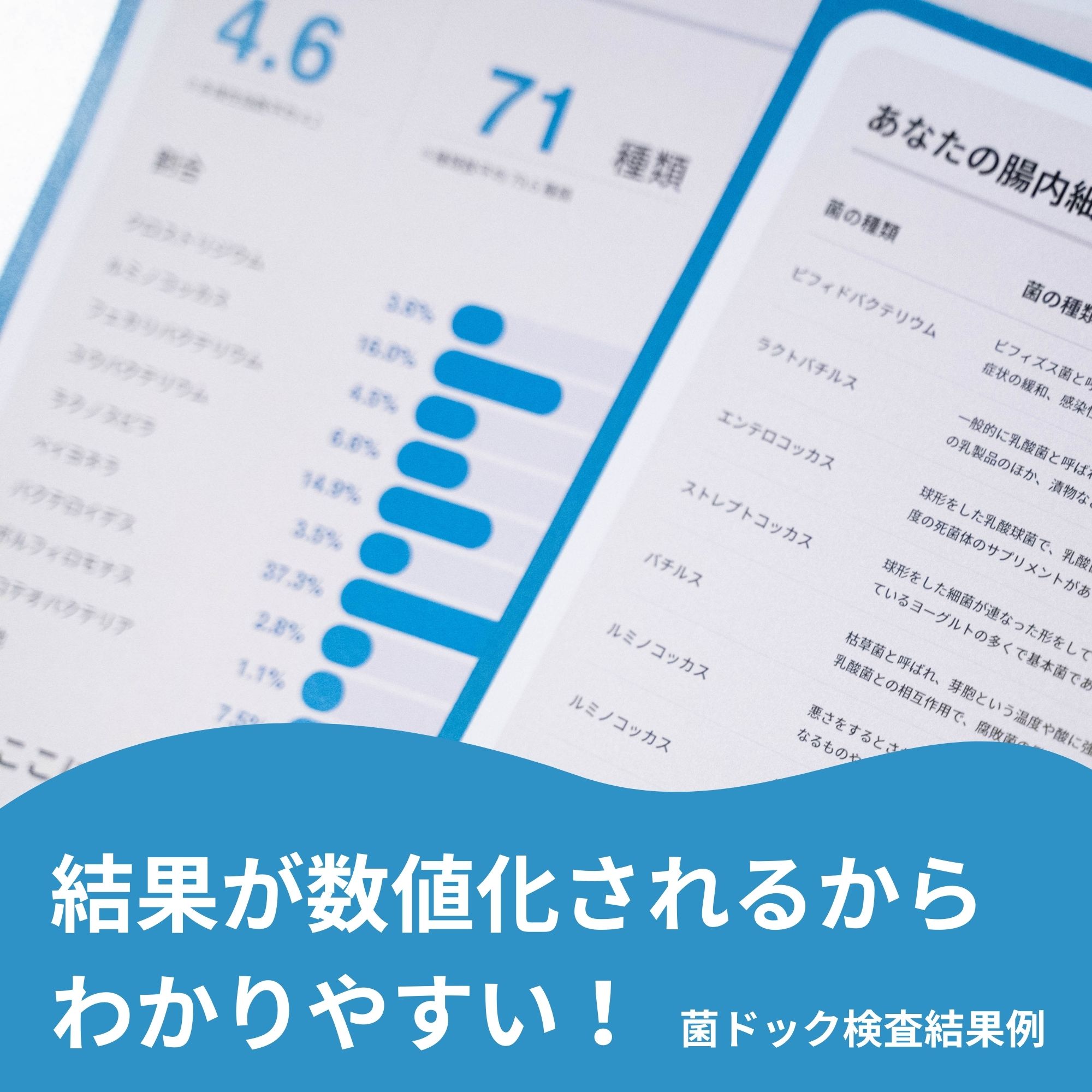 自分の腸内細菌の種類が分かる！！ 腸内細菌検査キット ポストから専門