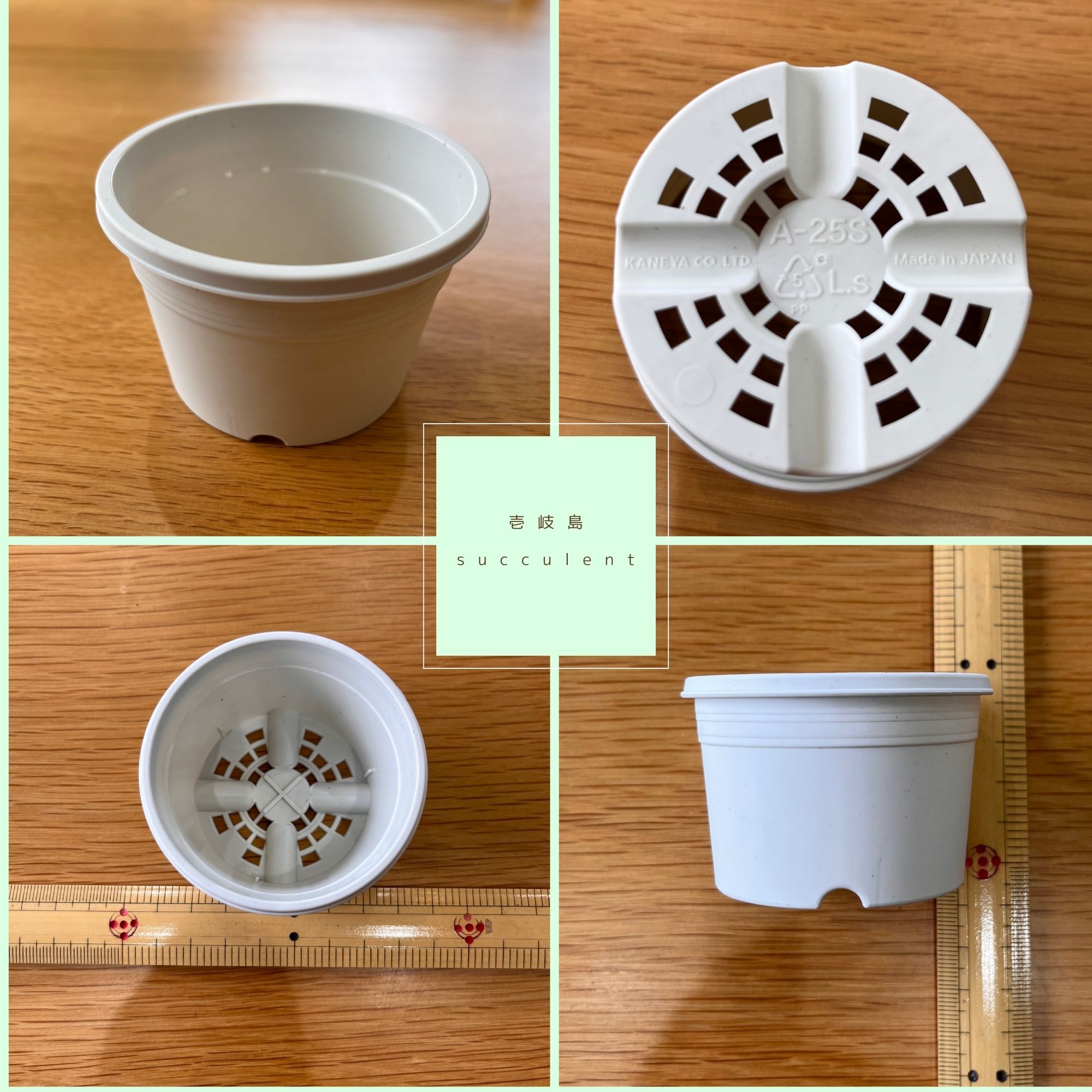 プラ鉢リエール必殺鉢【A-25S×105個+トレー3枚】スリット鉢プレステラ多肉 プラ鉢リエール必殺鉢【A-25S×105個+トレー3枚】スリット鉢