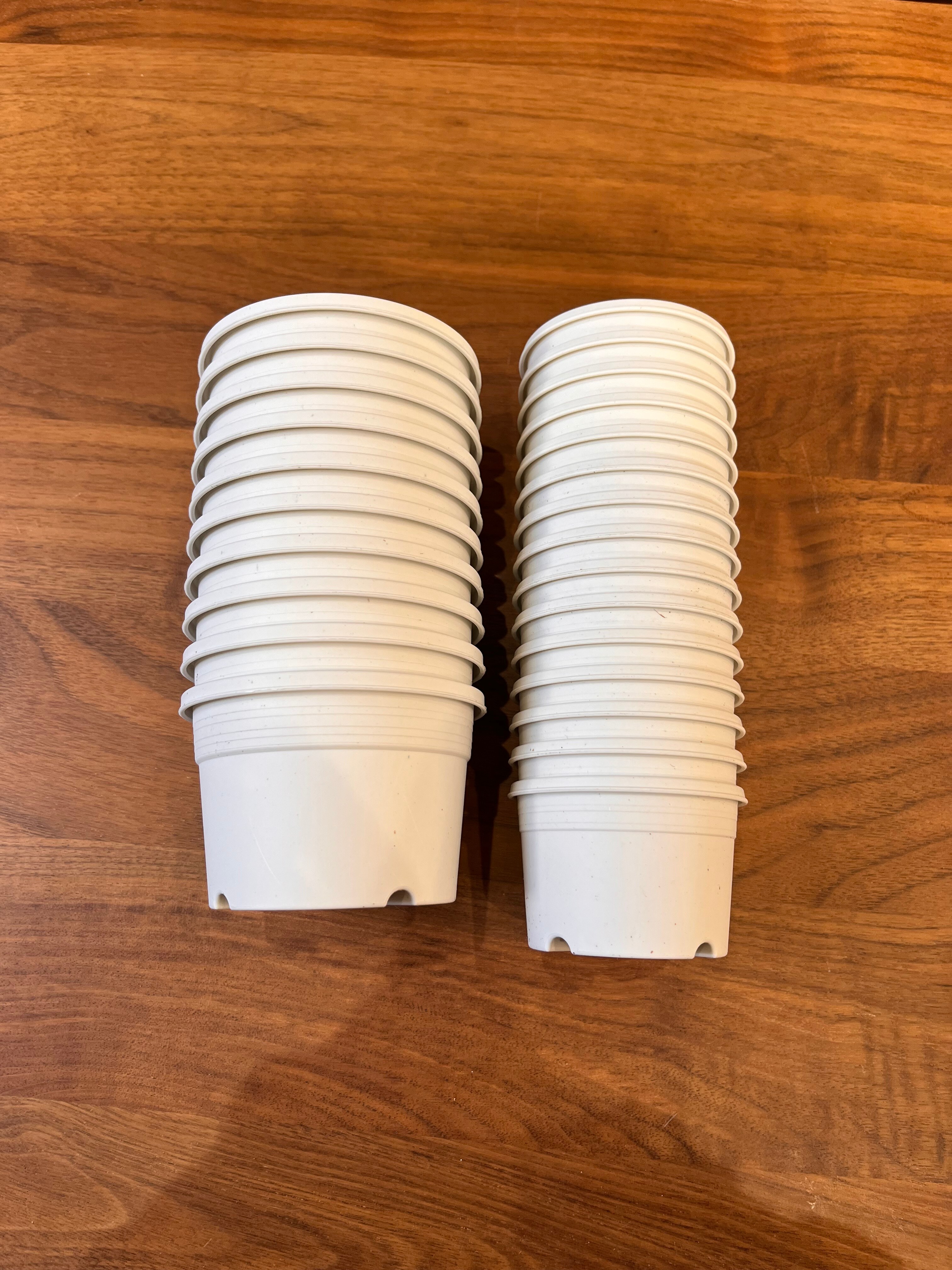 Top【選抜株】多肉植物　19586 カーニバル10個 鉢無し/脱土 ネット狩りした多肉で寄せ植え作り＆珍しいセダムをGET(*Ü