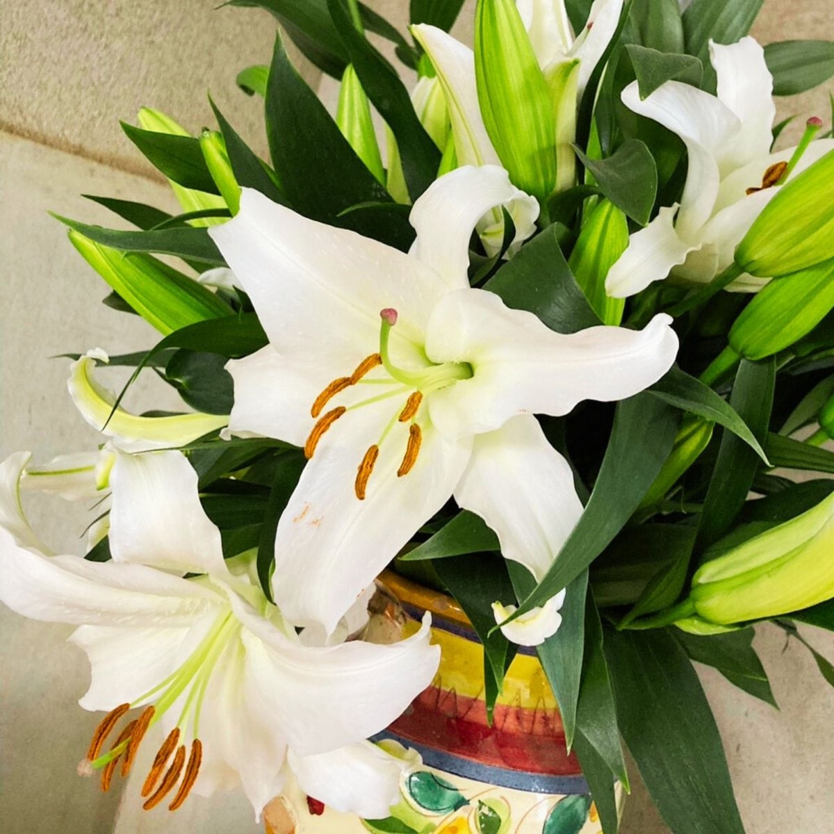 るっち 同梱まとめ買い 混合百合3〜5輪咲き40本 品種シベリア、レクサス 混合百合3〜5輪咲き20本 品種名シベリア、レクサス - メルカリ