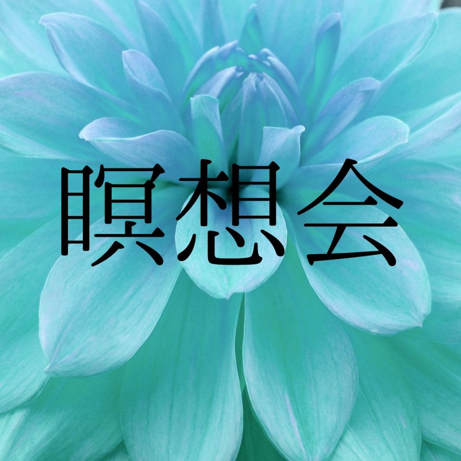 瞑想会