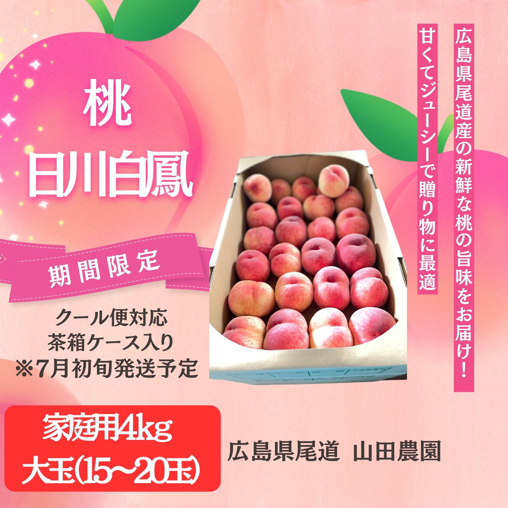 桃 （日川白鳳）家庭満足用4kg 【15〜20玉 / 茶箱ケース入り / 7