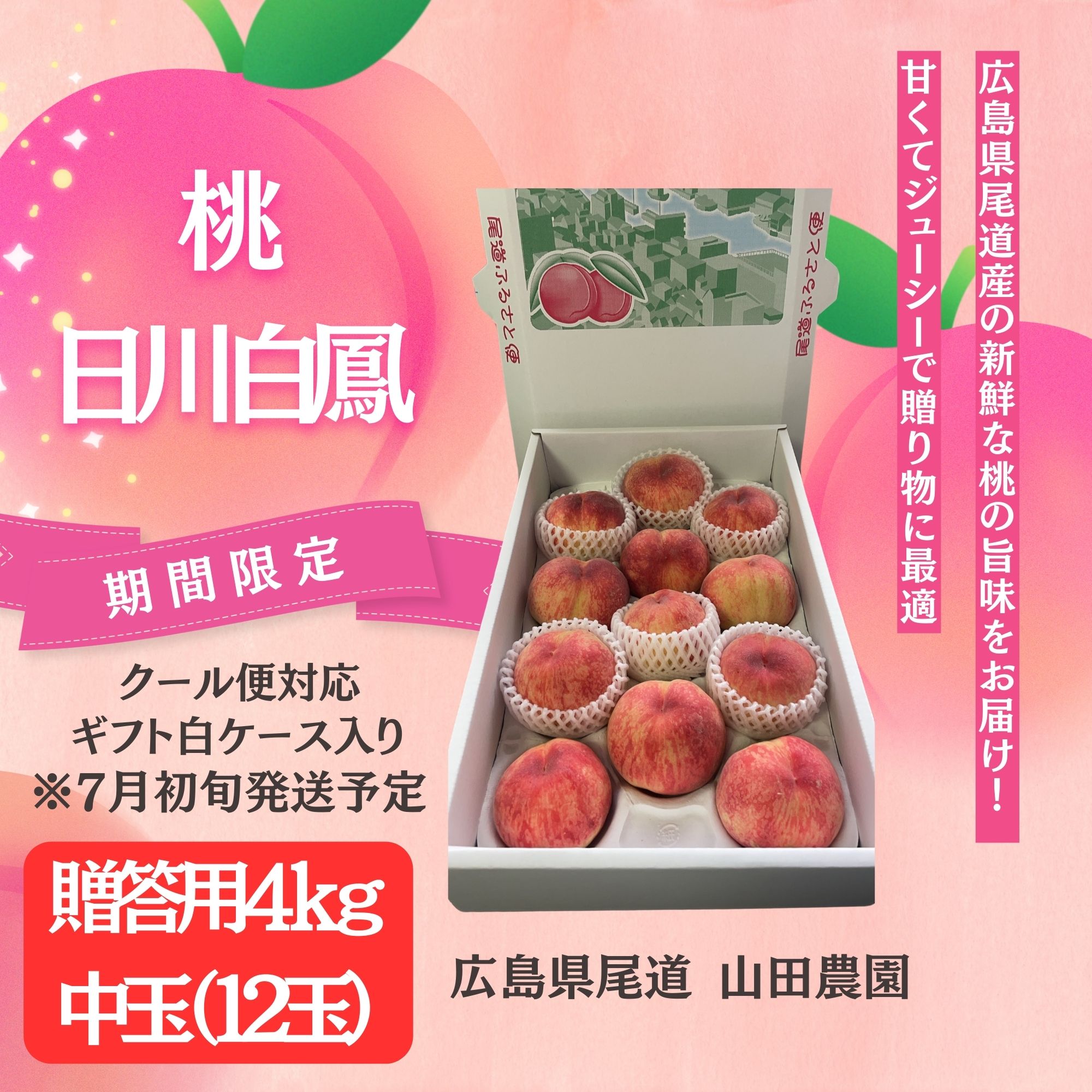 桃（日川白鳳） 贈答用4kg 【12玉 / 贈答用・サイズ（8cm程度