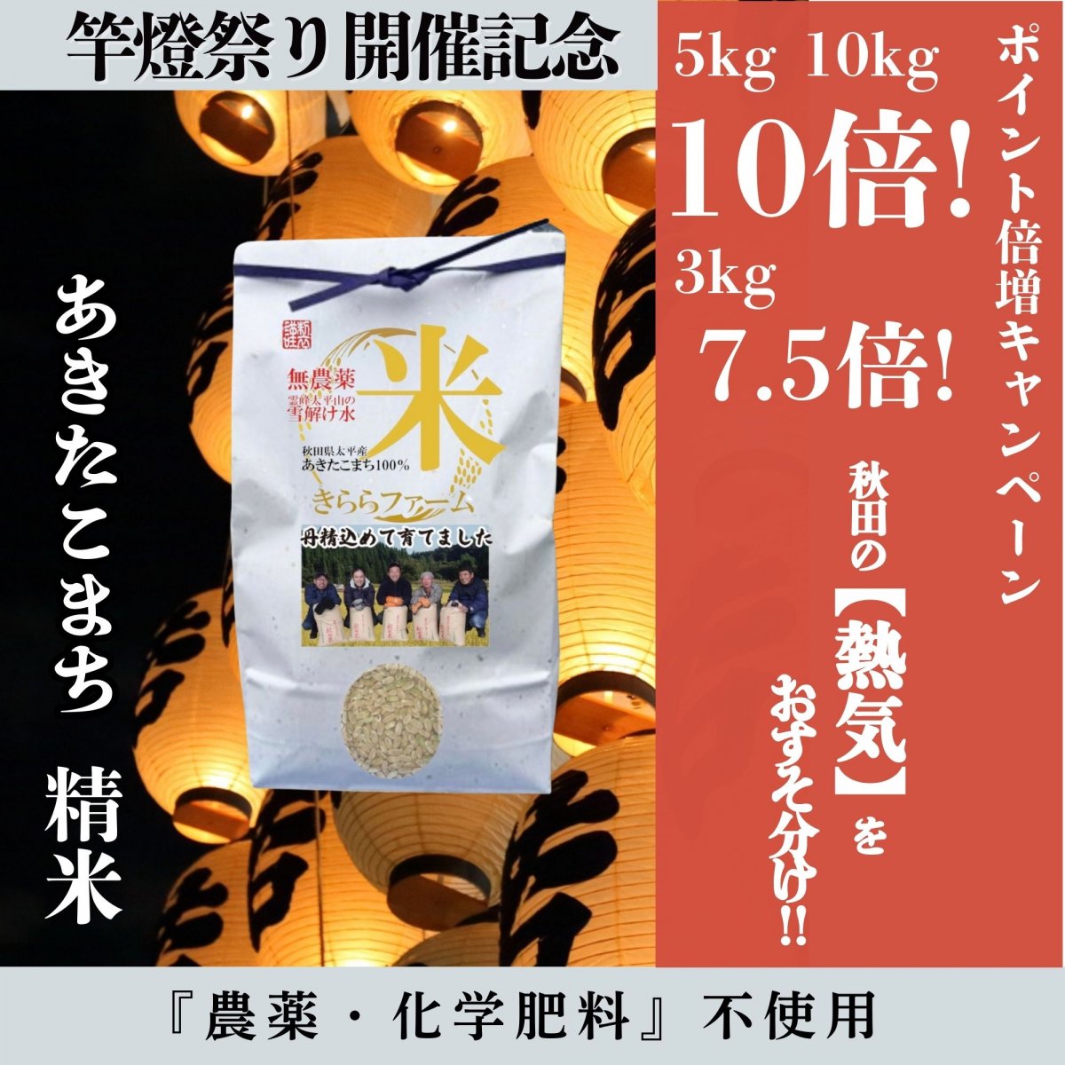 【精米3Kg〜10Kg】予約限定販売/秋田県太平産あきたこまち/農家直送特別栽培米/令和5年度産